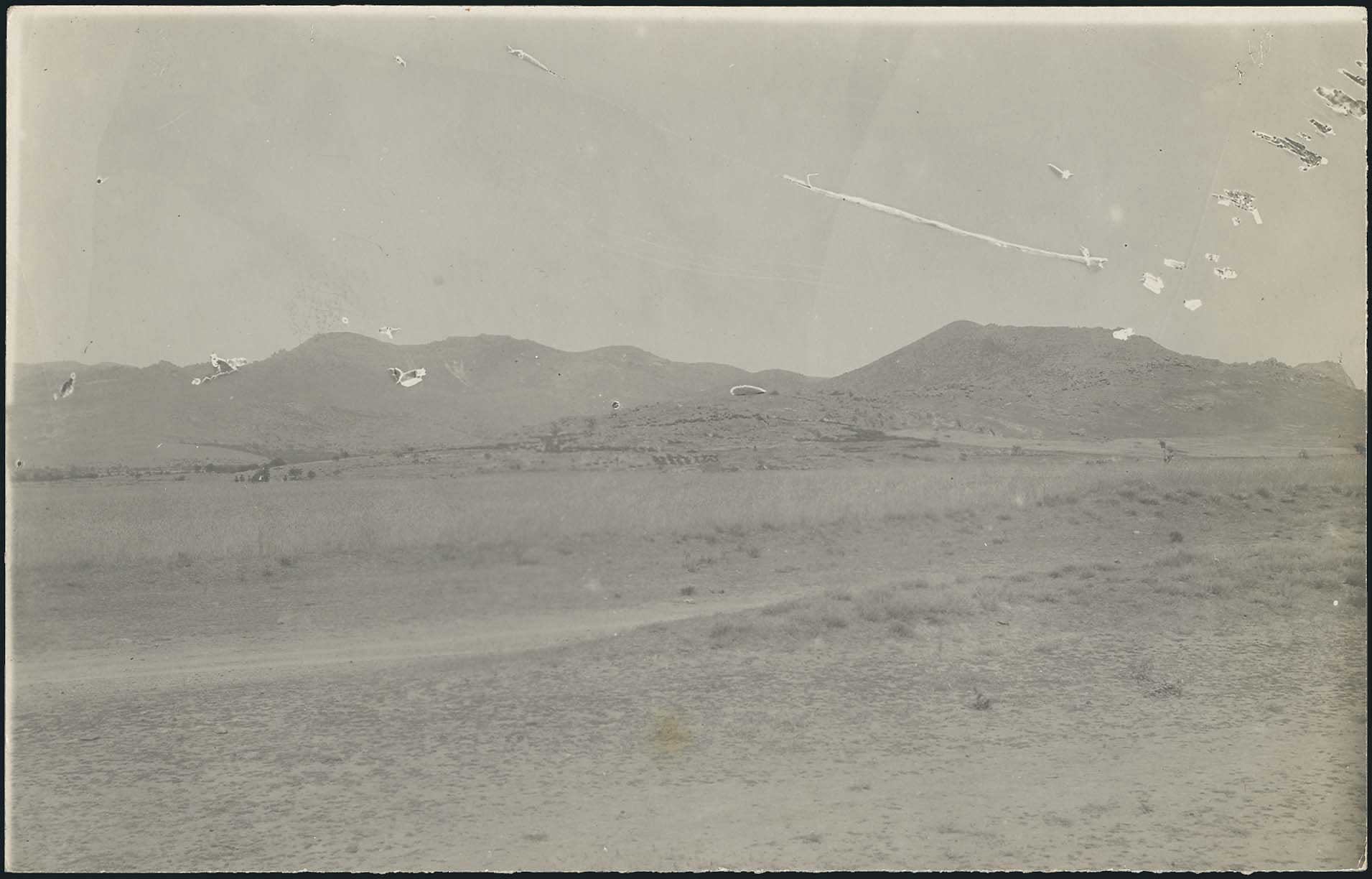 Lot 08798