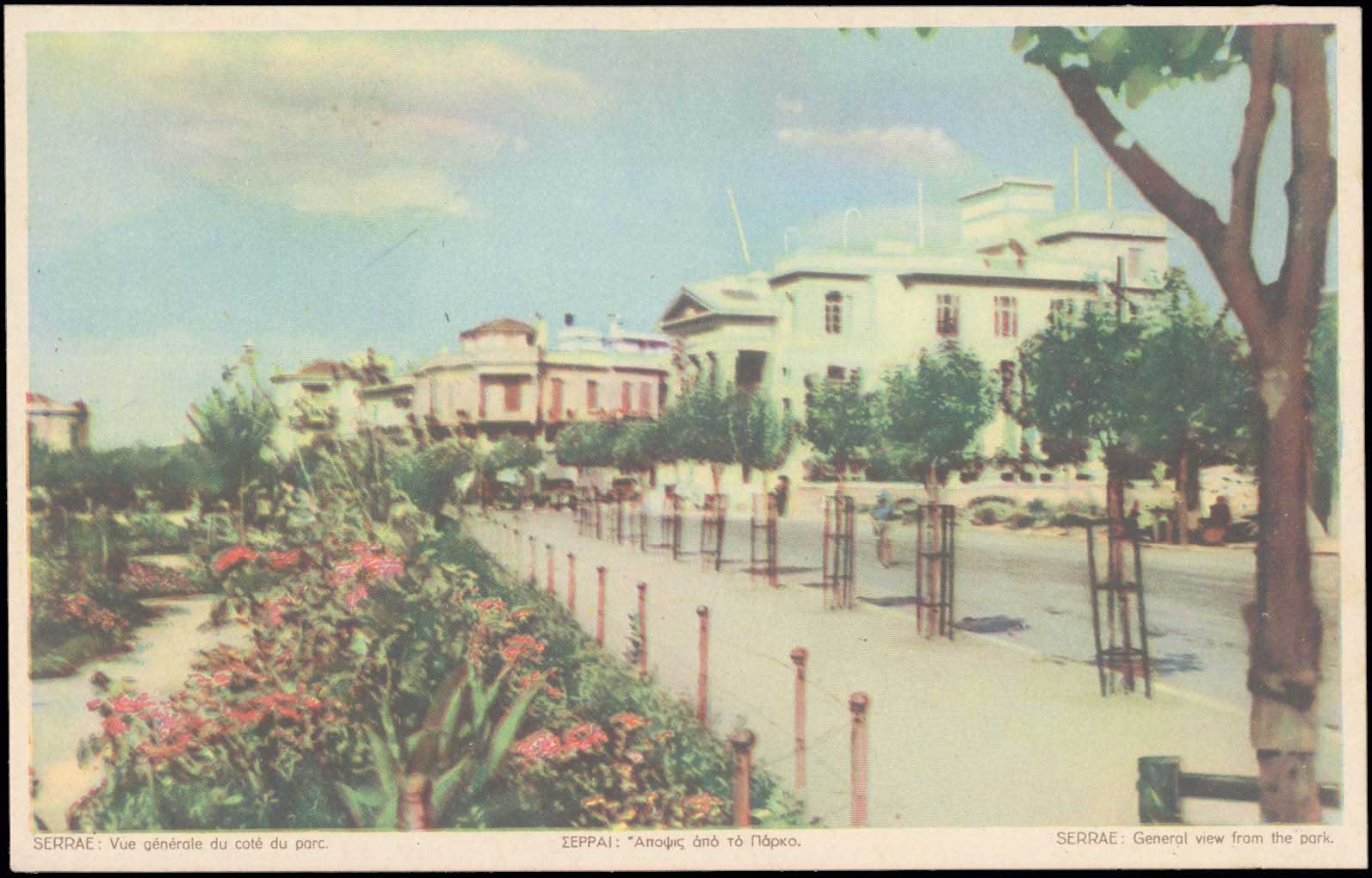 Lot 03986