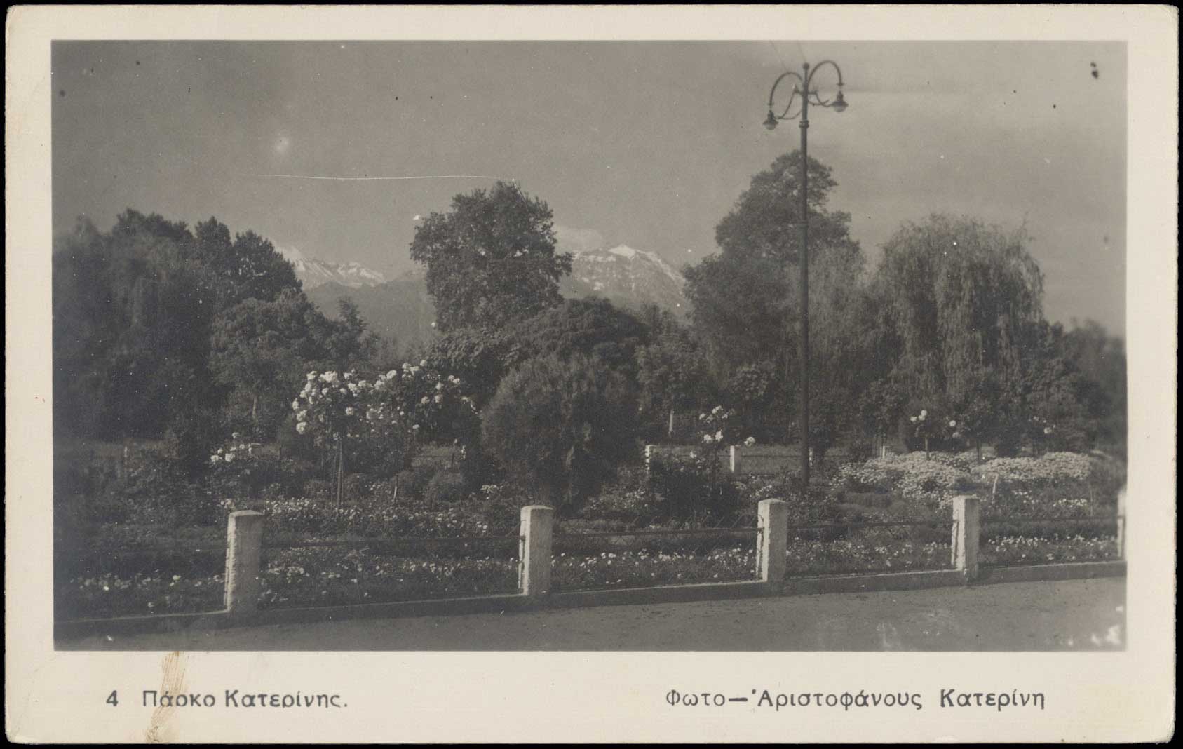 Lot 01653