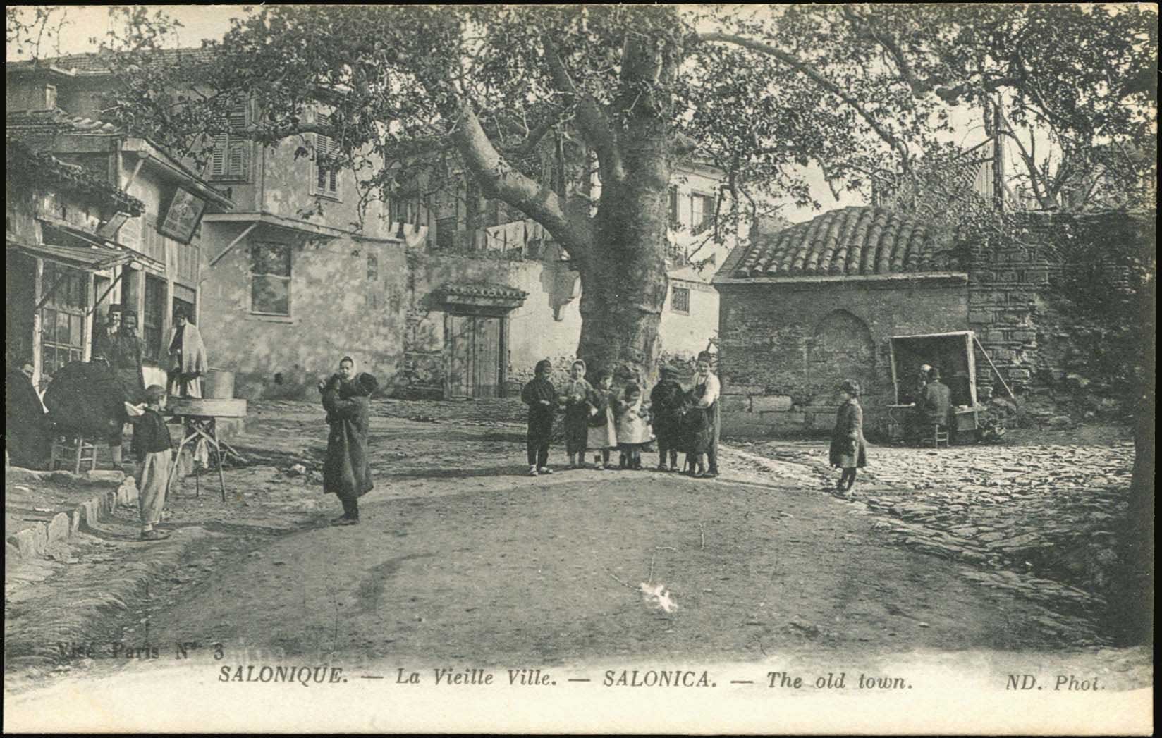 Lot 01480