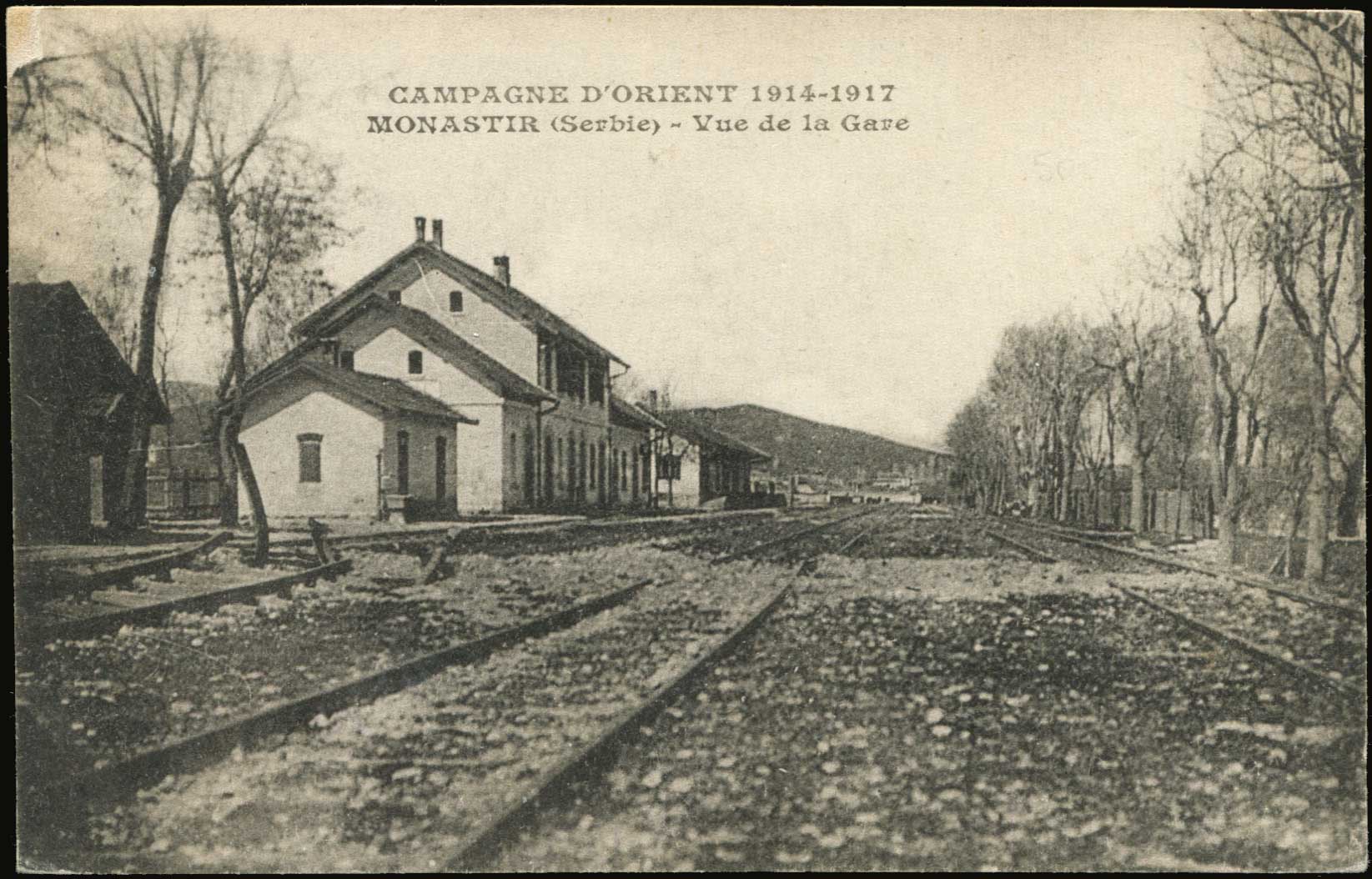 Lot 01893