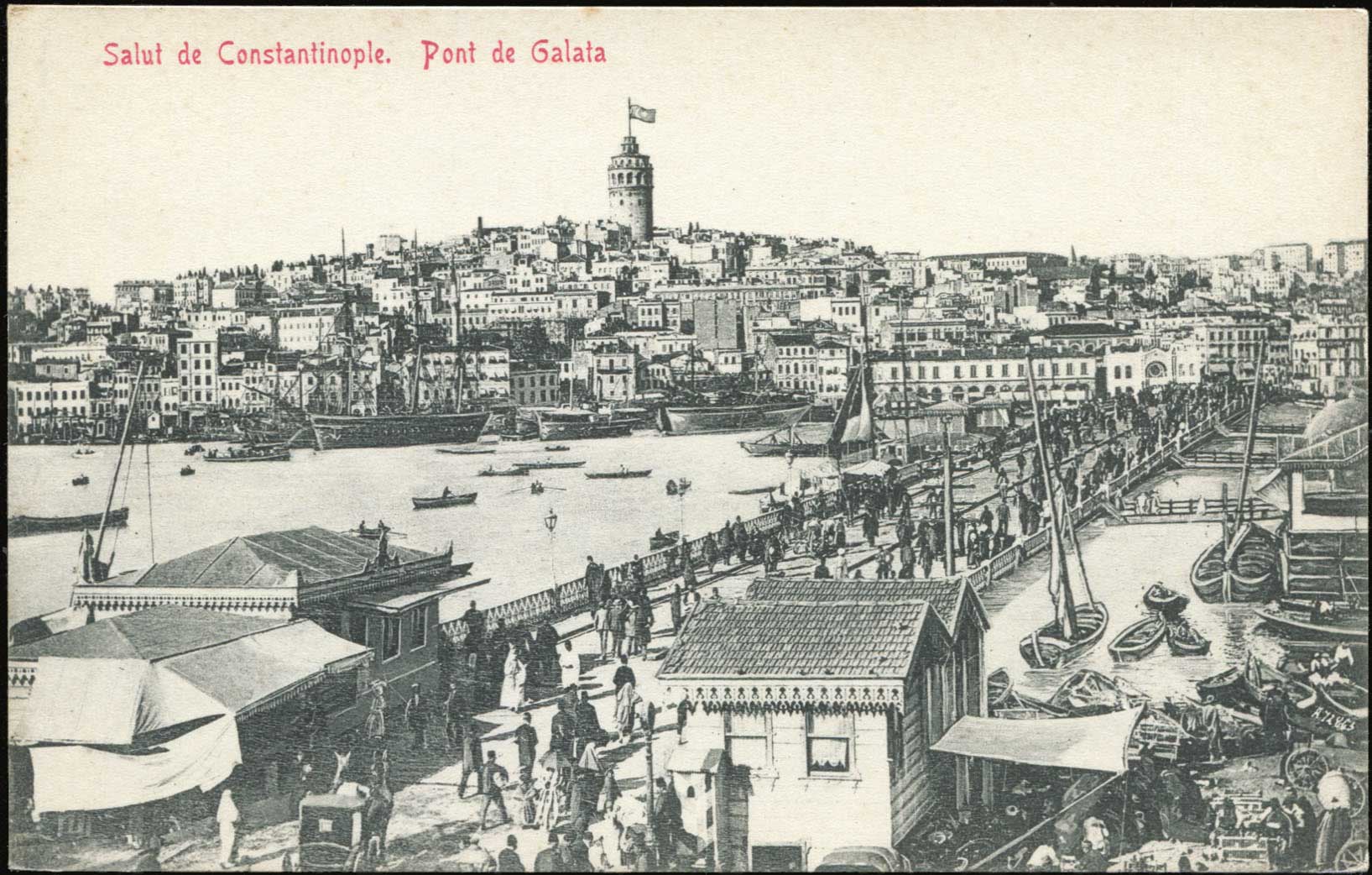Lot 01586