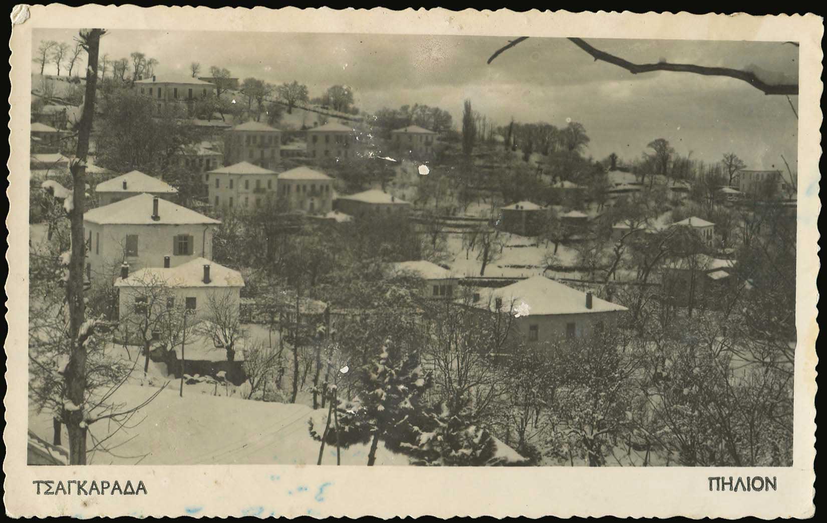Lot 02243