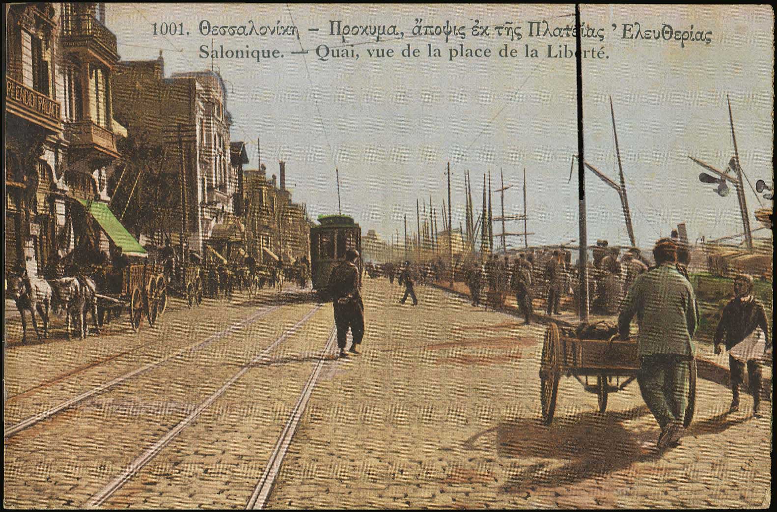 Lot 03583