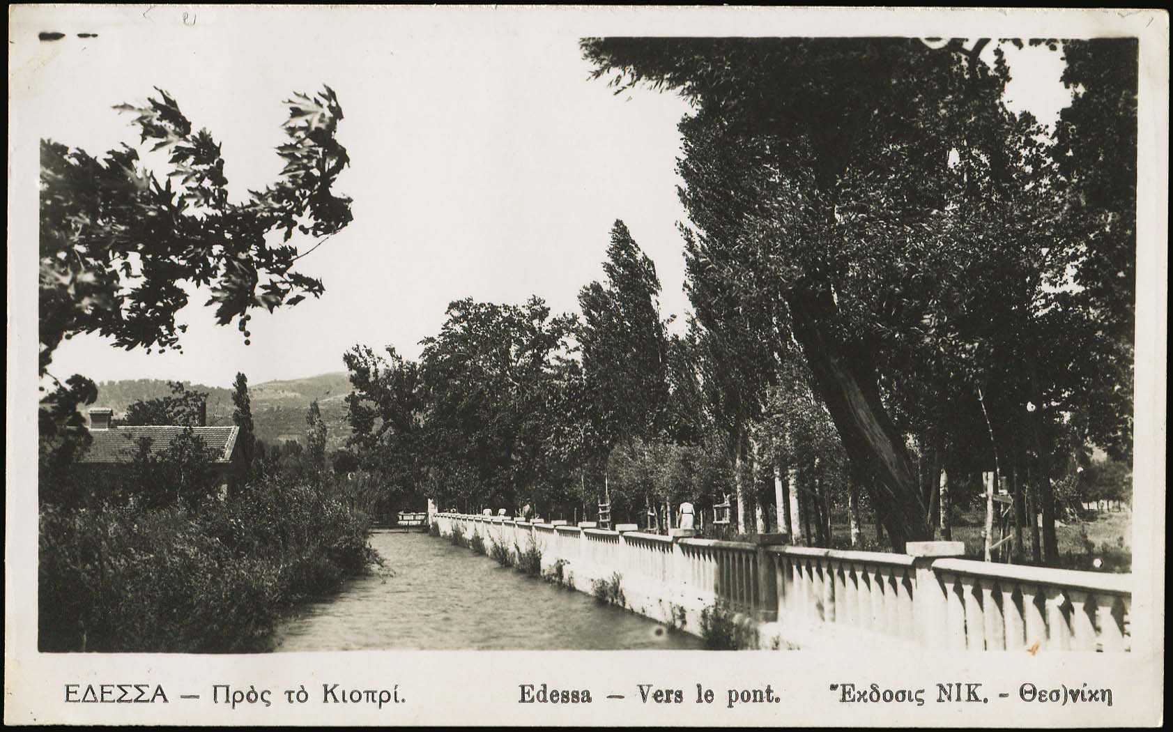 Lot 03545