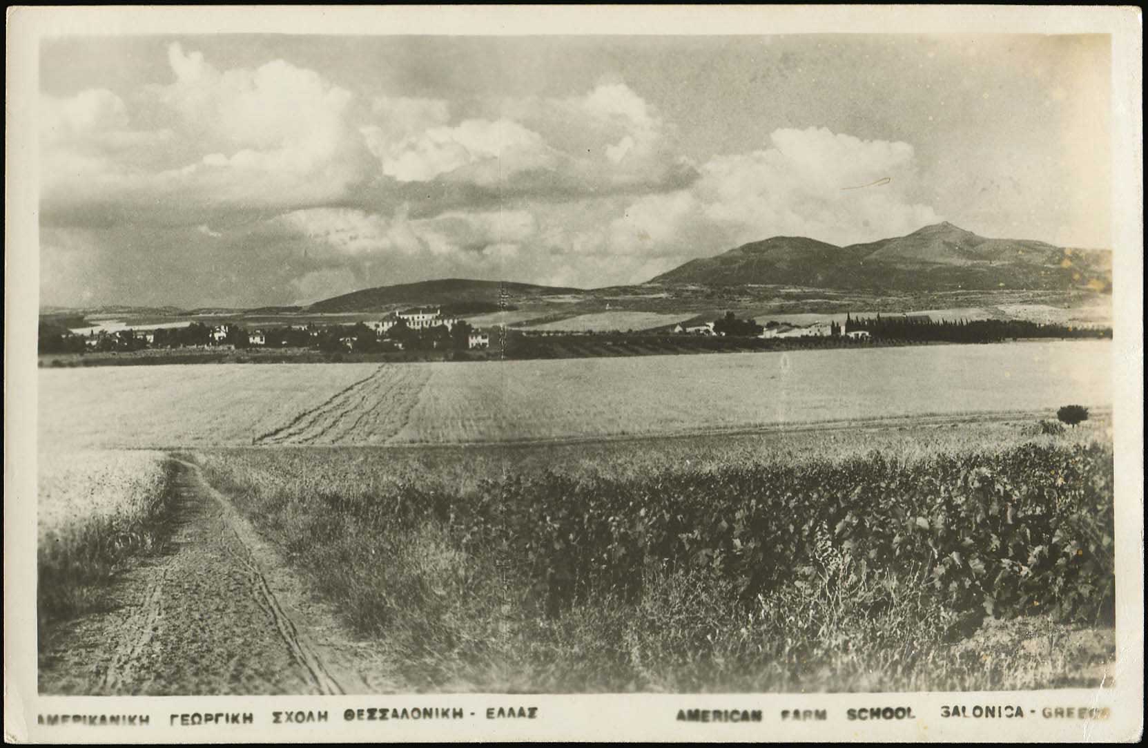 Lot 03642