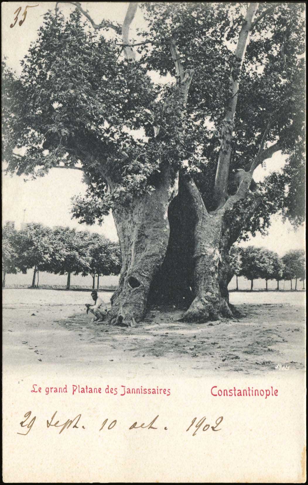 Lot 01736
