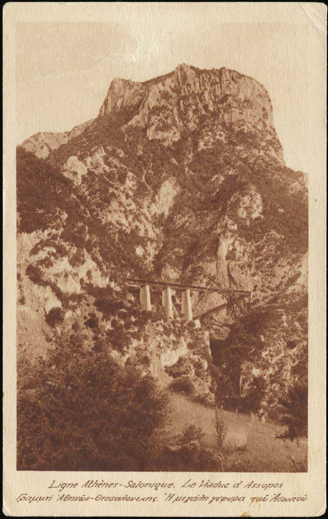 Lot 01547