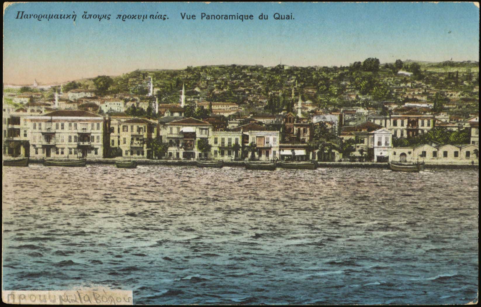 Lot 01419