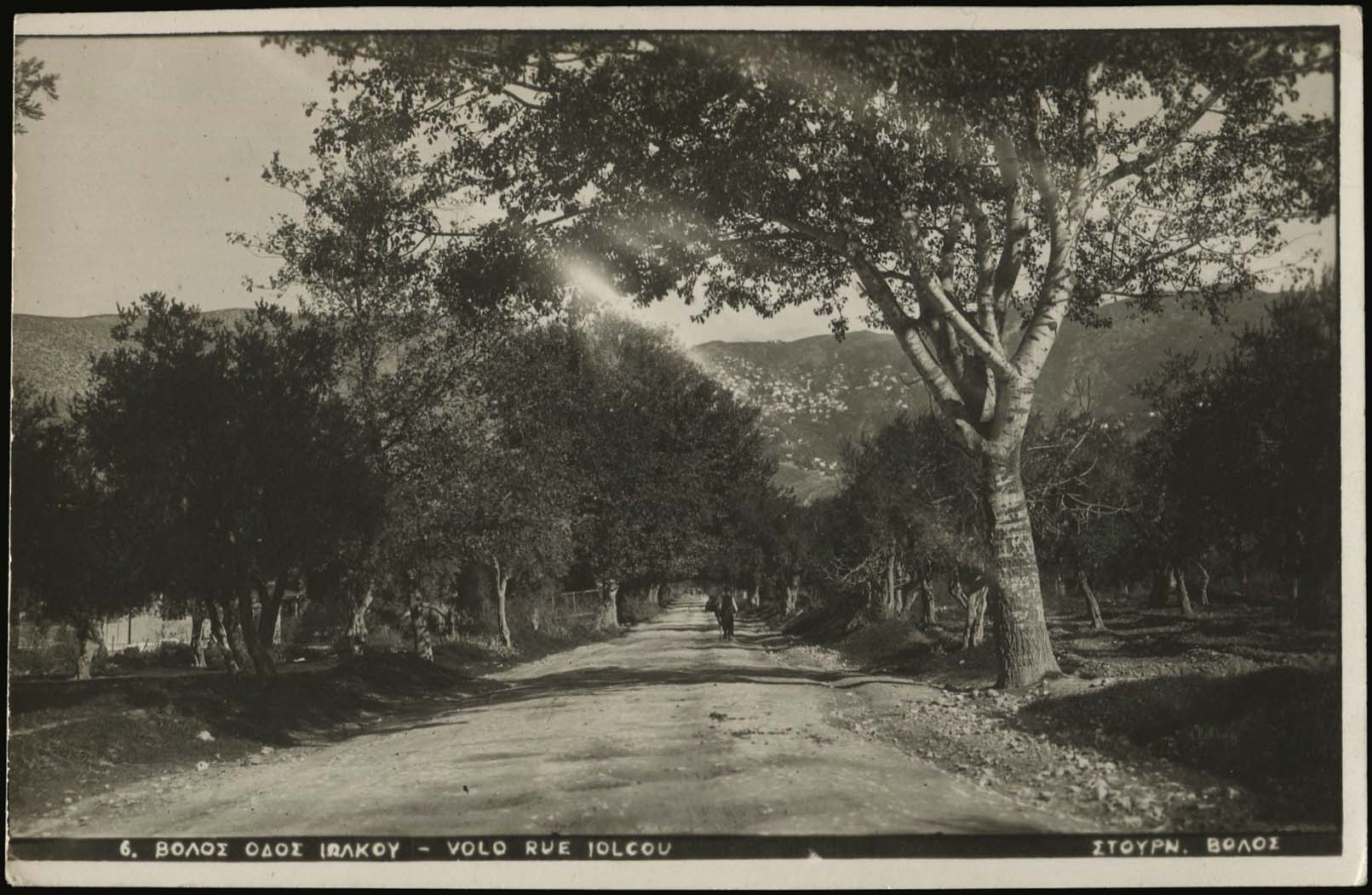 Lot 01456