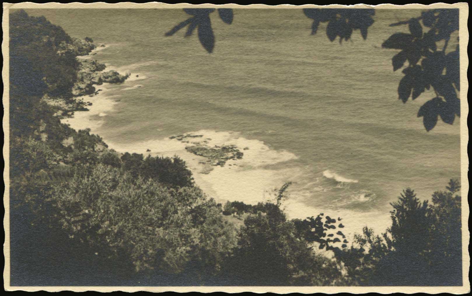 Lot 02237
