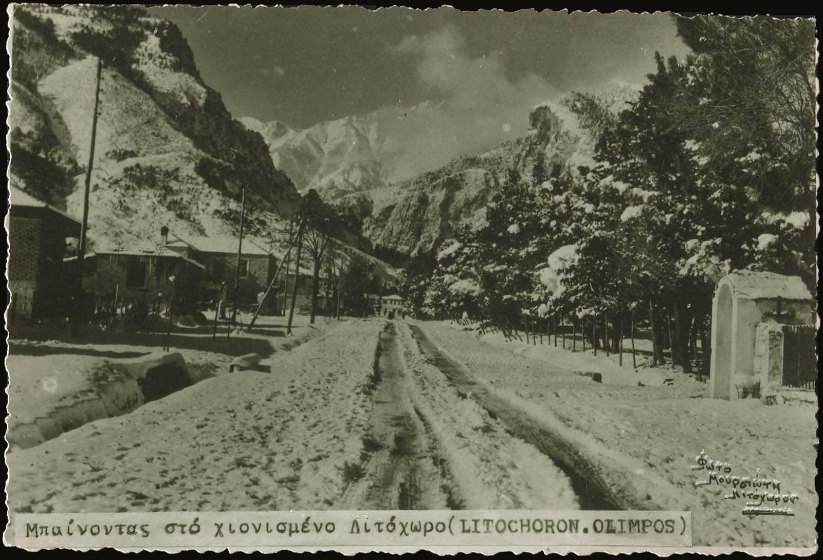 Lot 01684