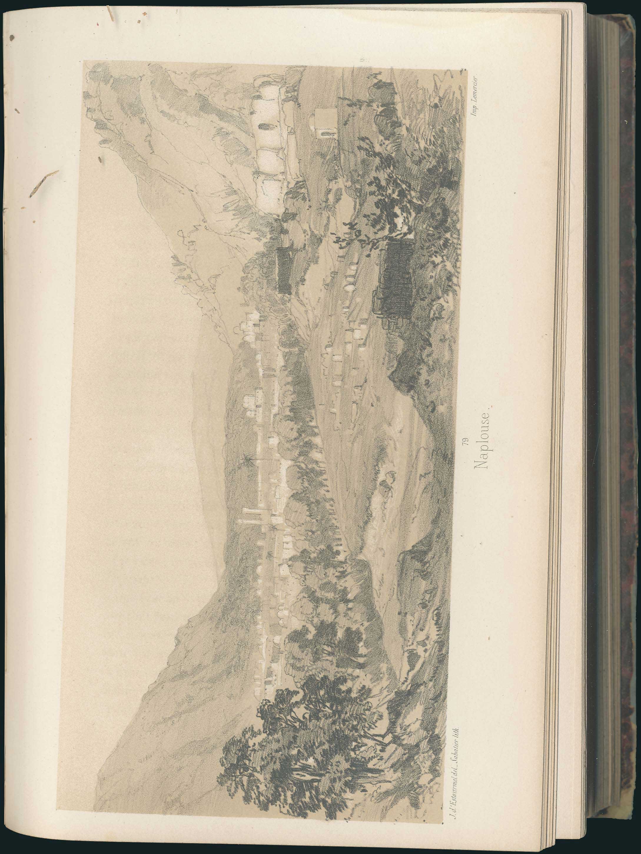 Lot 05296
