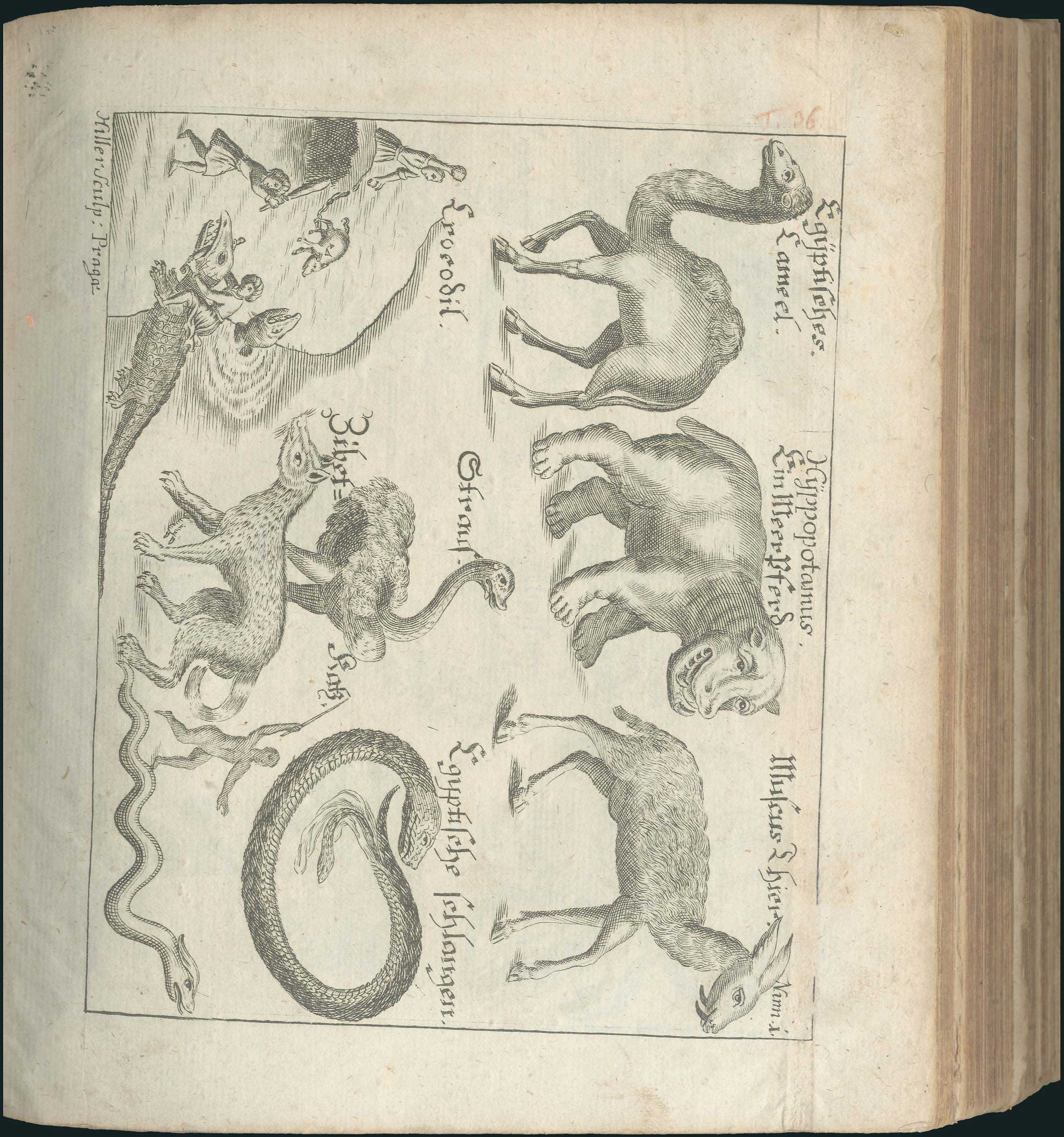 Lot 05289