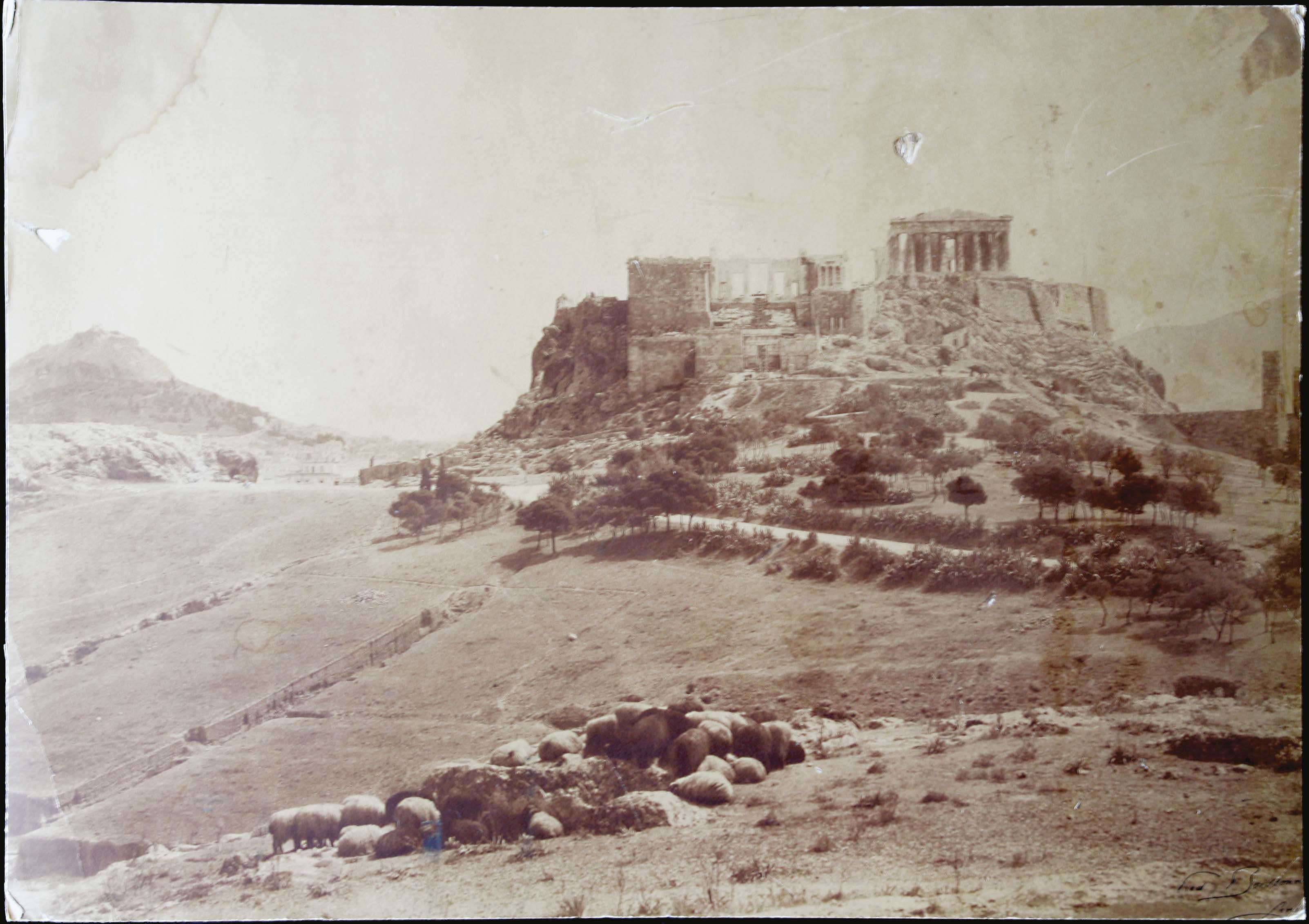 Lot 05331