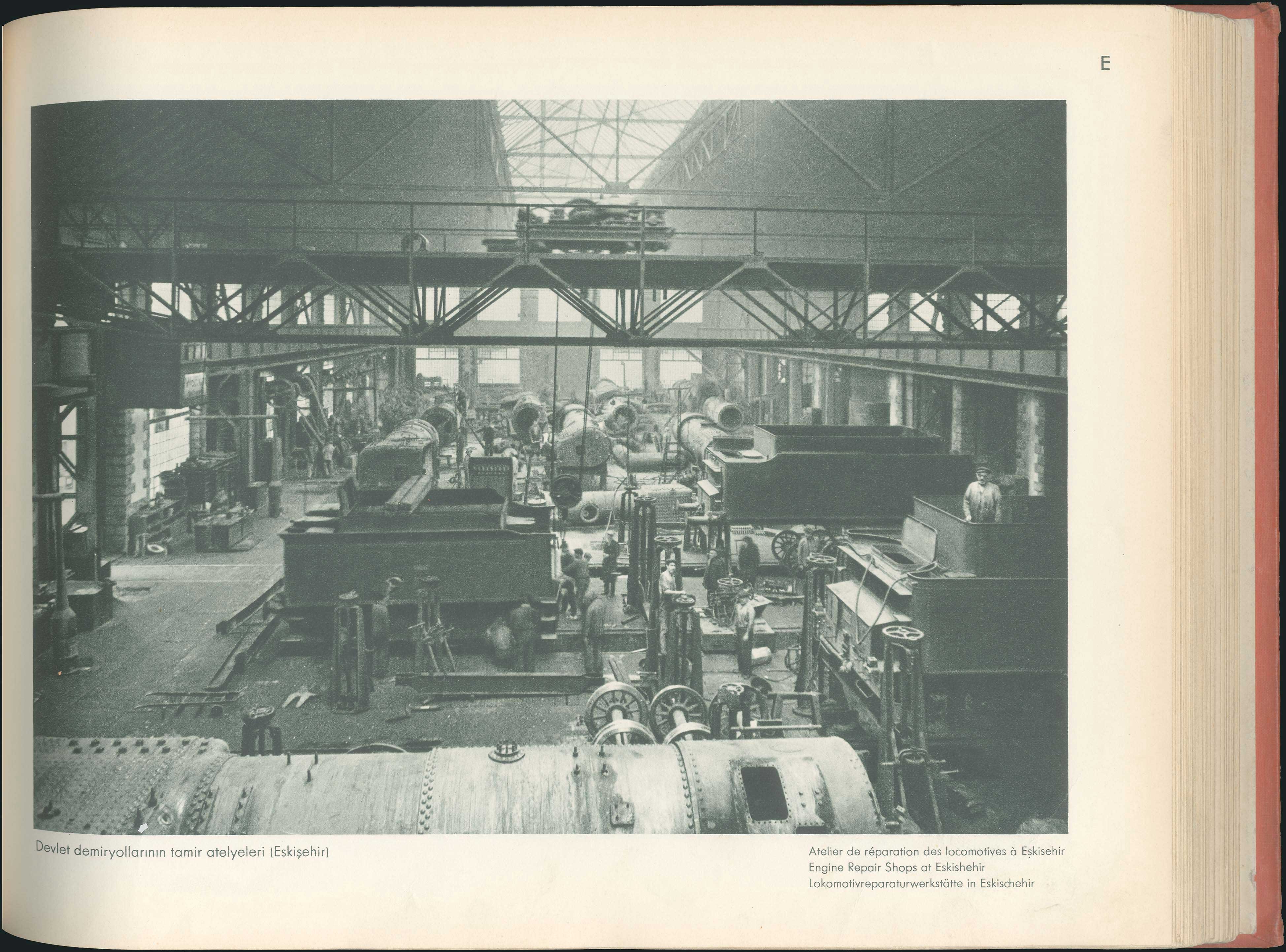 Lot 08399