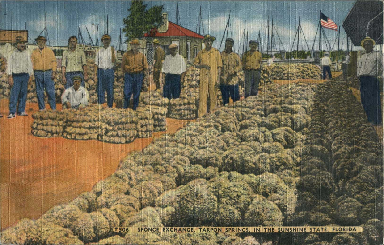 Lot 01553