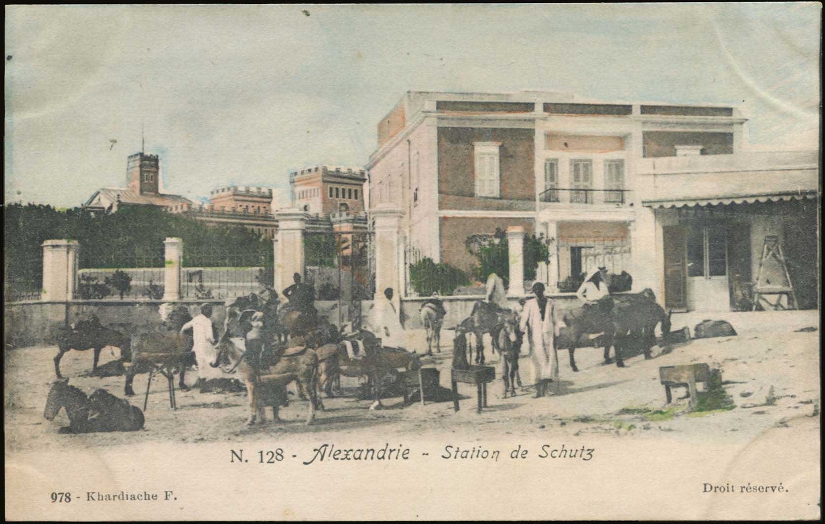 Lot 03561