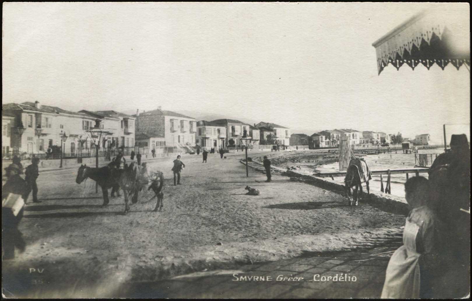 Lot 03553