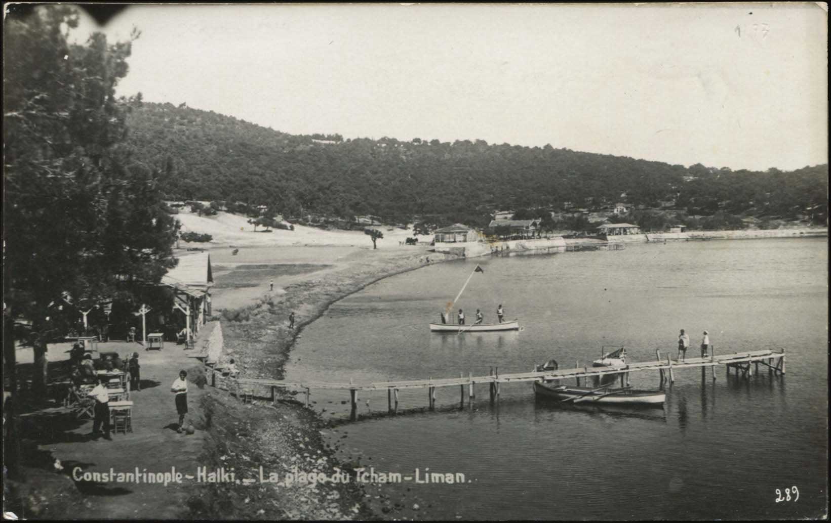 Lot 03541