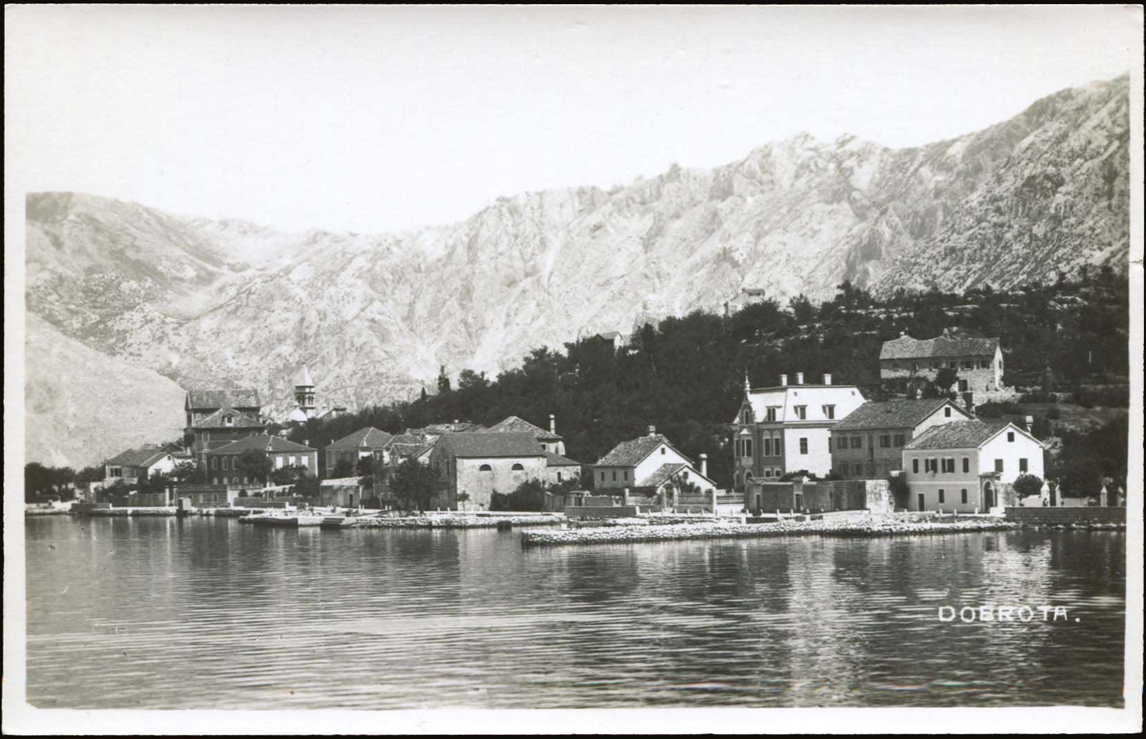 Lot 03619