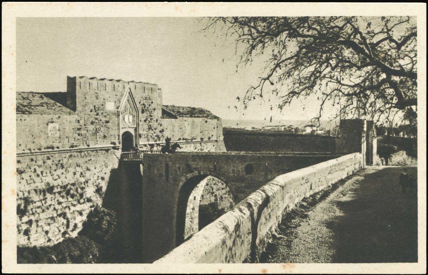Lot 01264