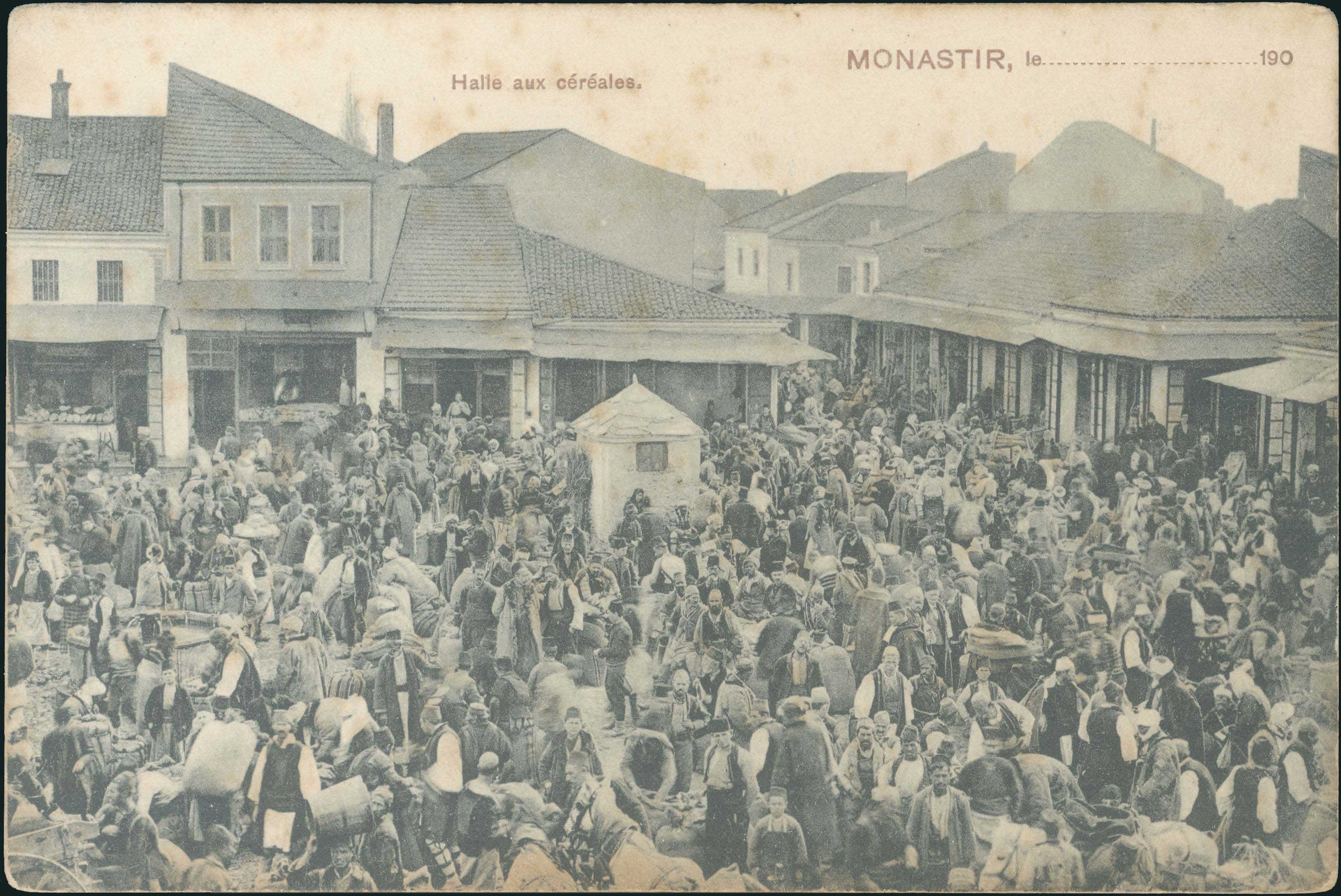 Lot 03646