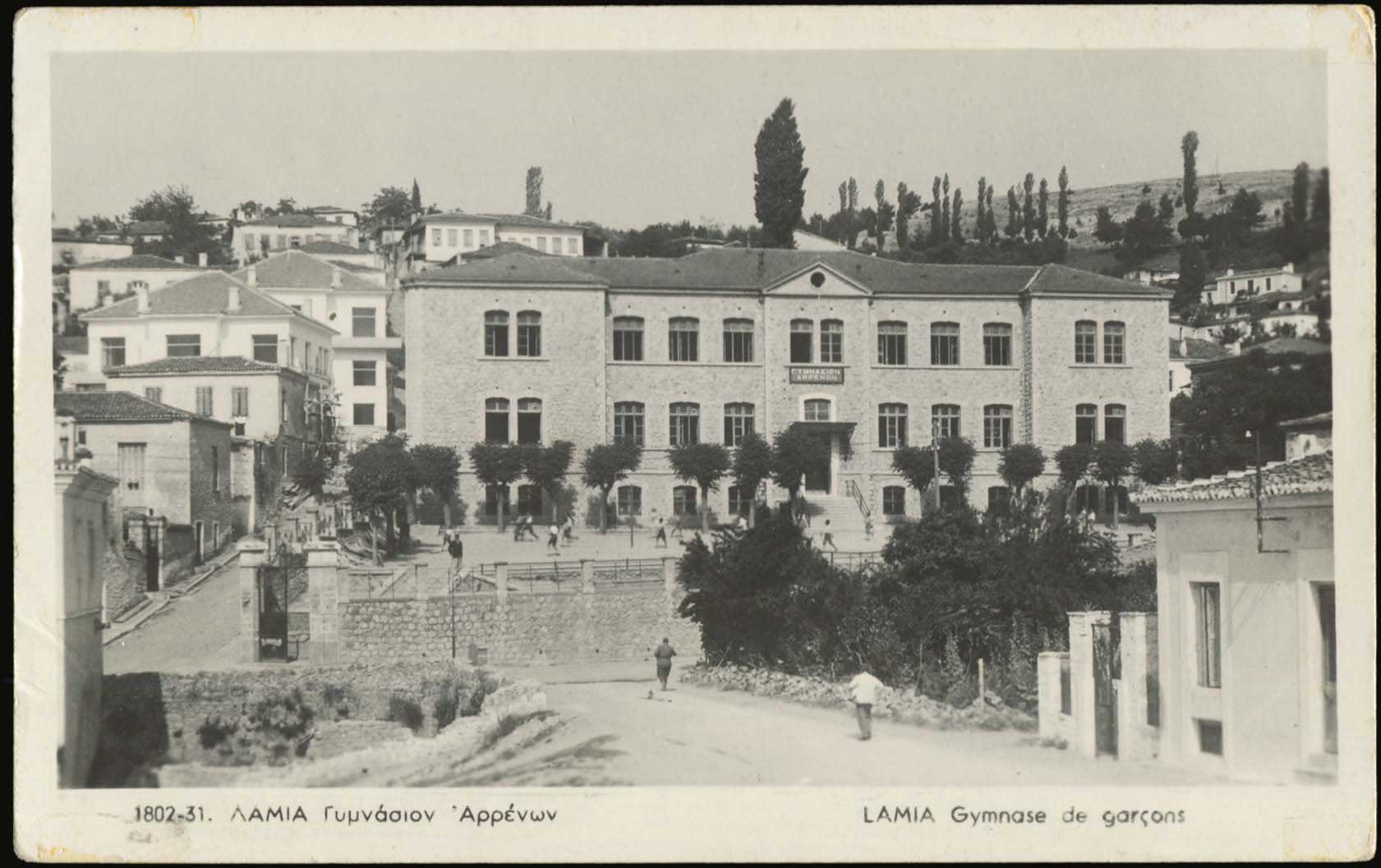 Lot 03913