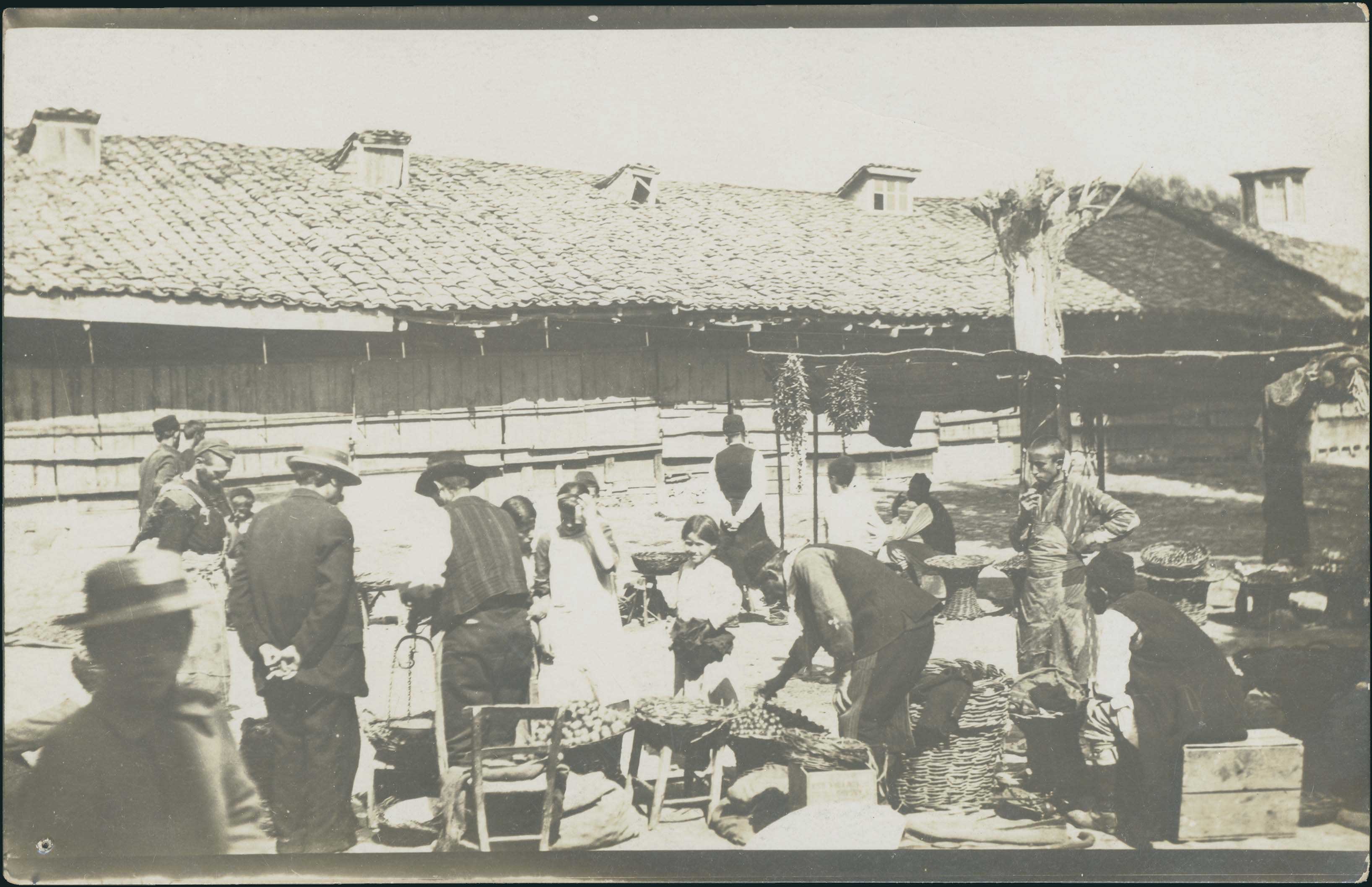 Lot 03647