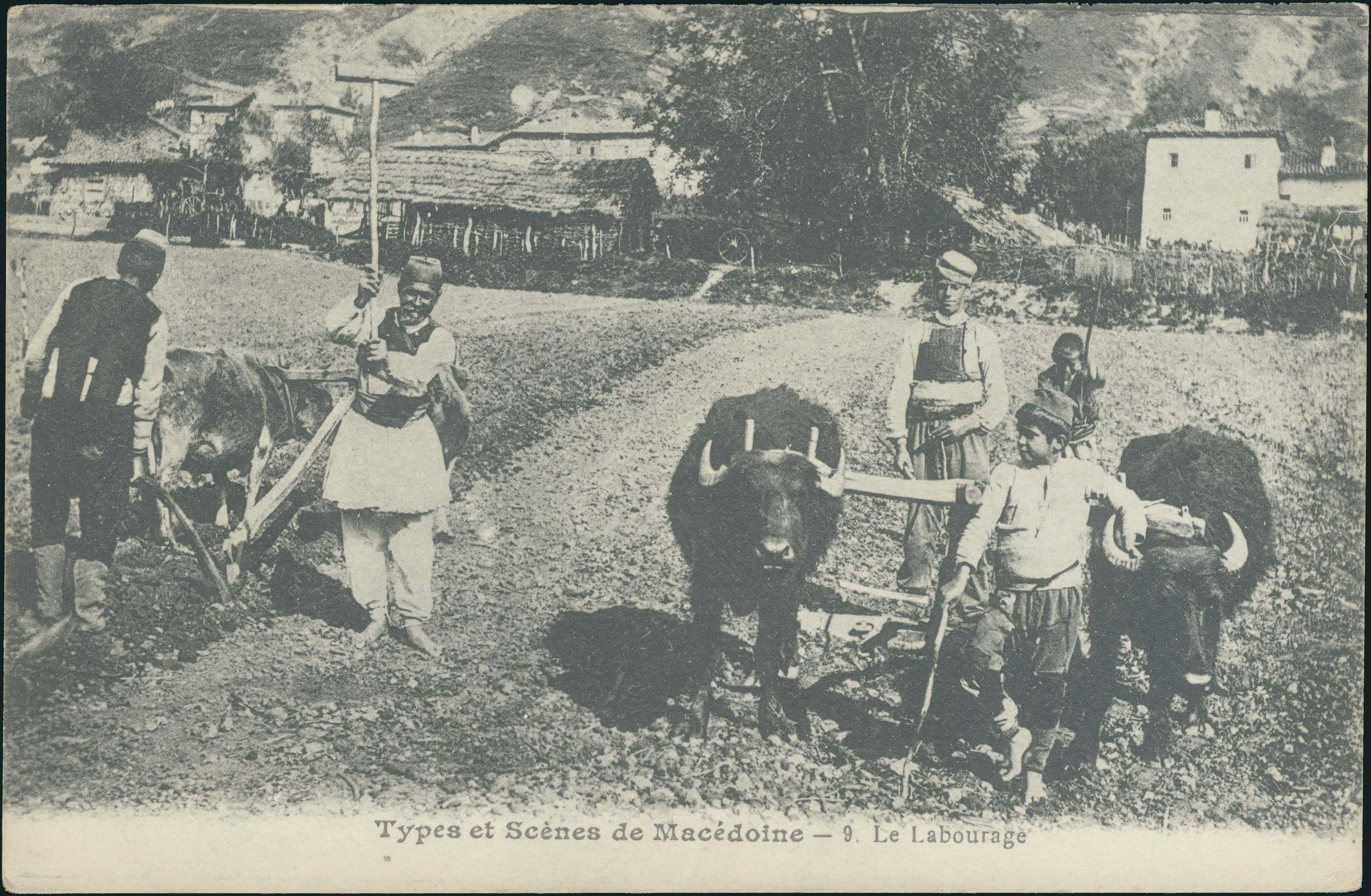 Lot 03566