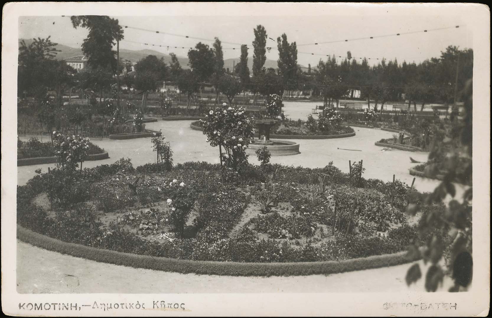 Lot 03613