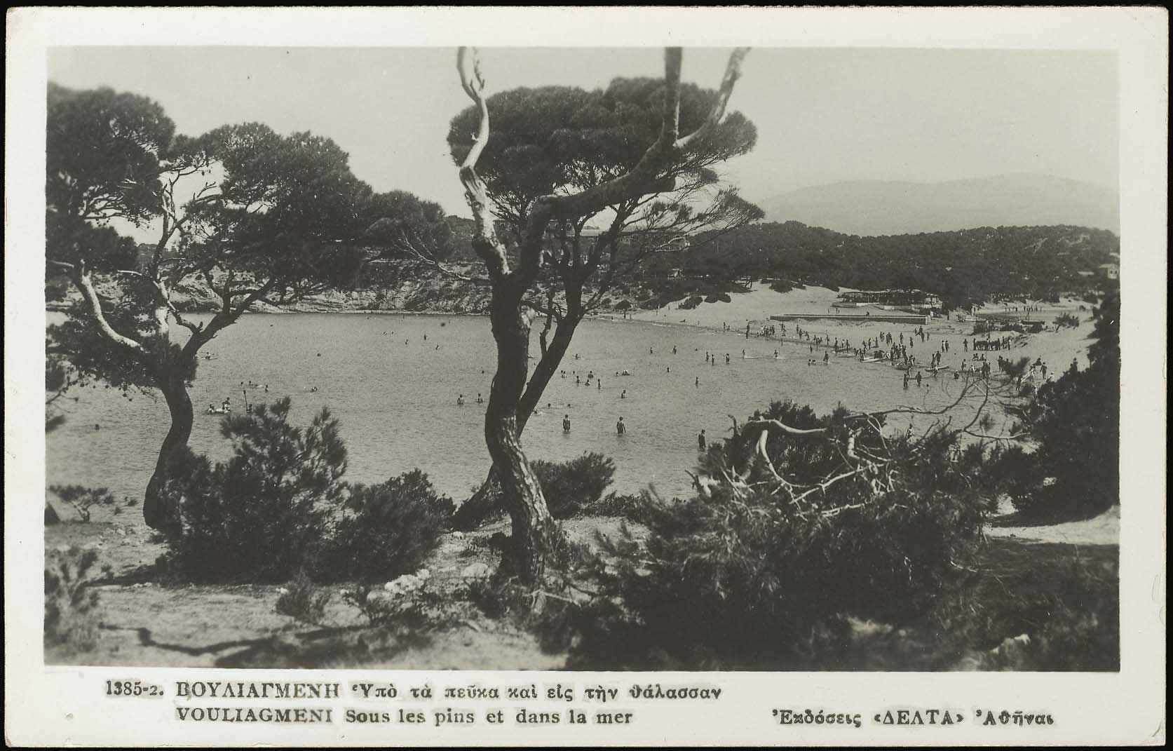Lot 03494