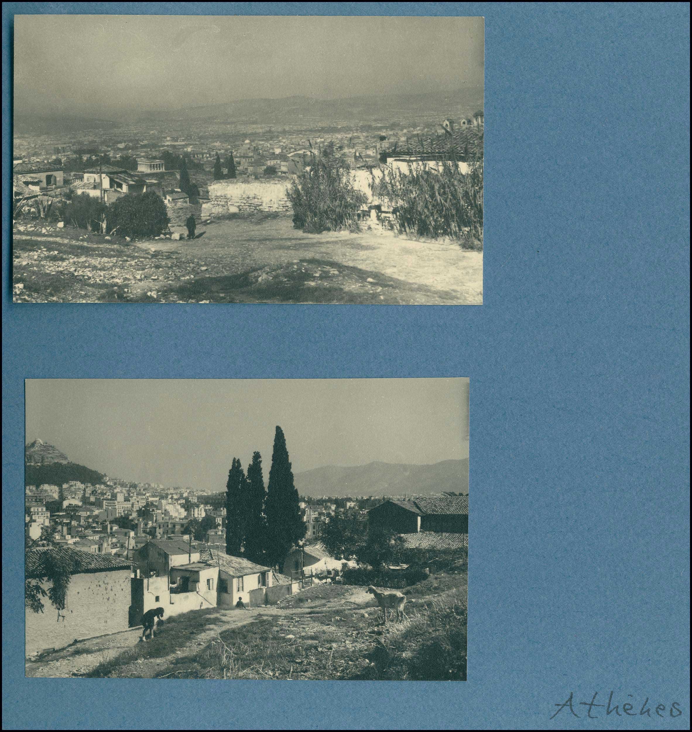 Lot 05481