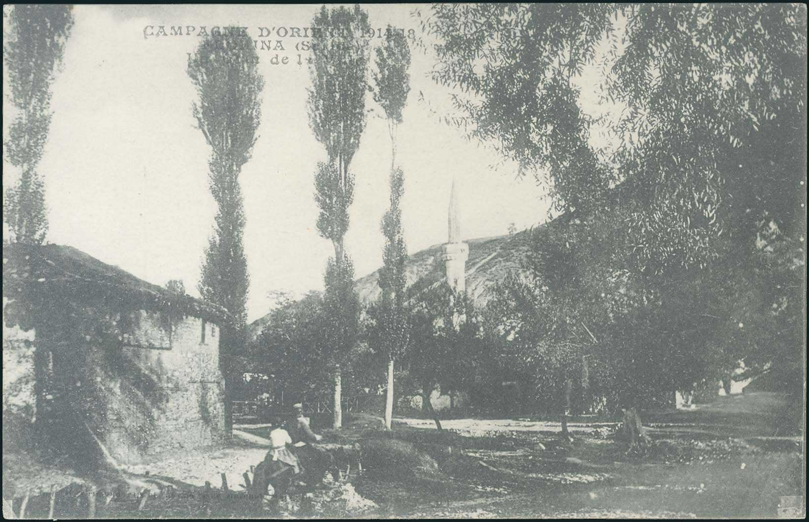 Lot 03561