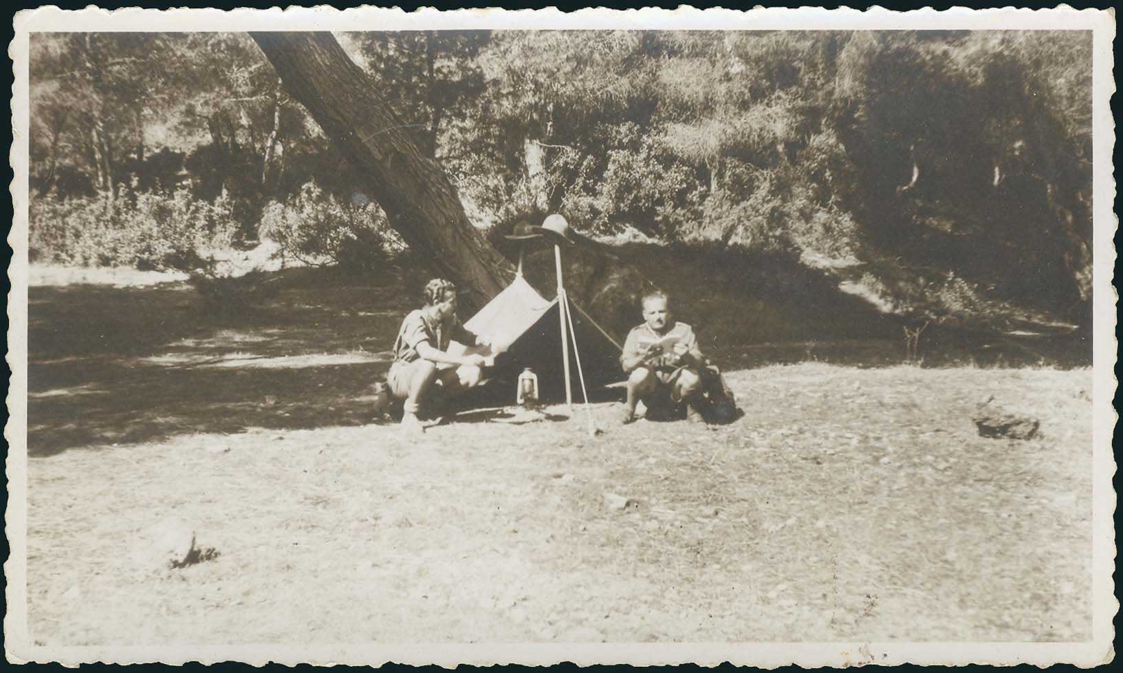 Lot 03530