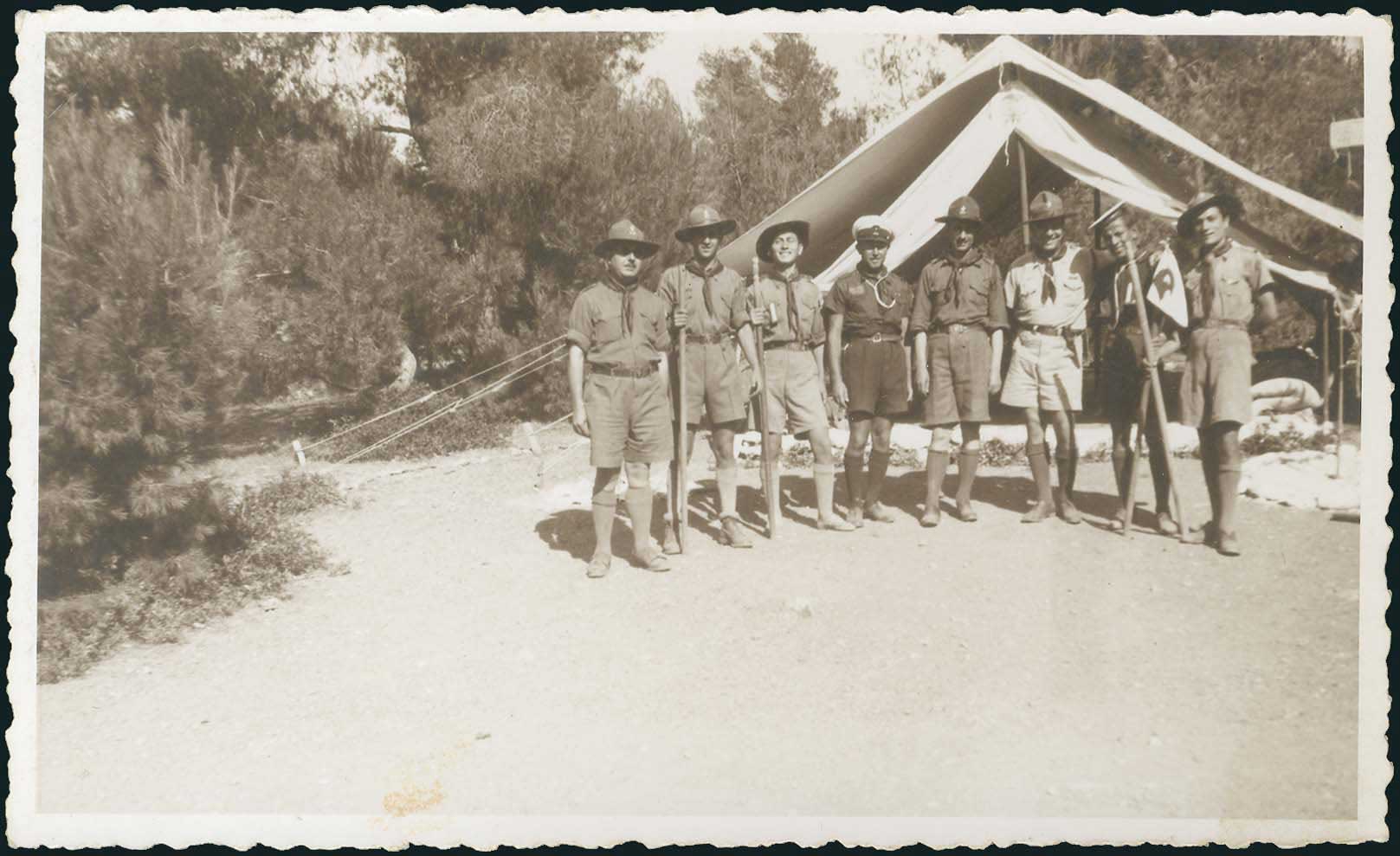 Lot 03529