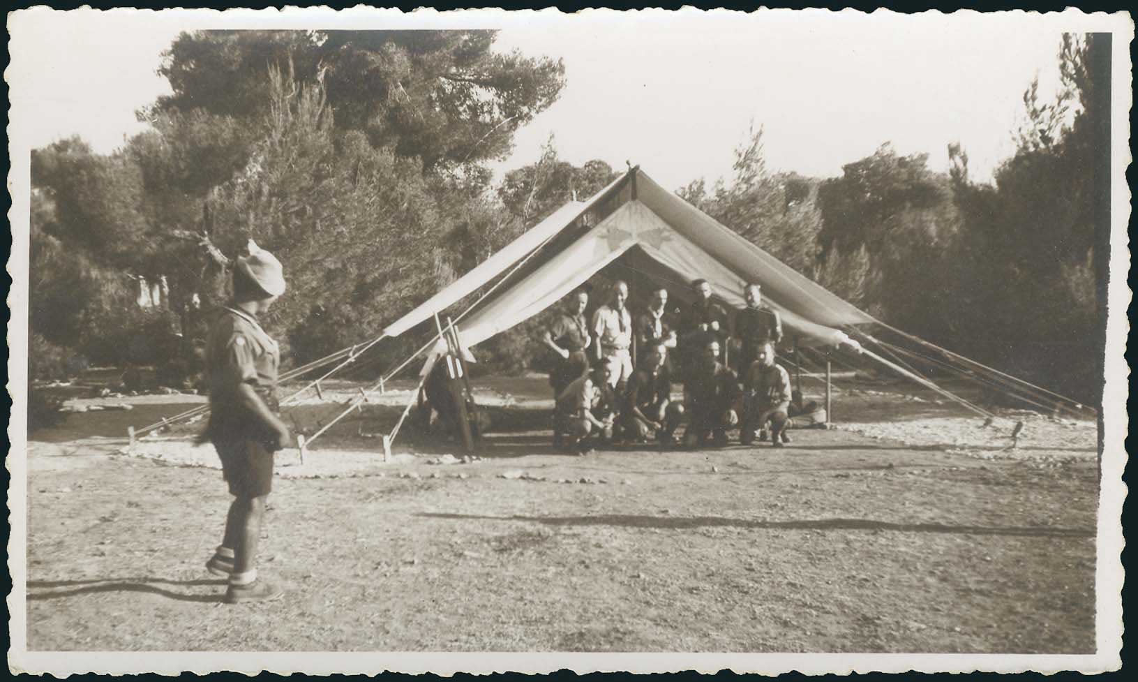 Lot 03527