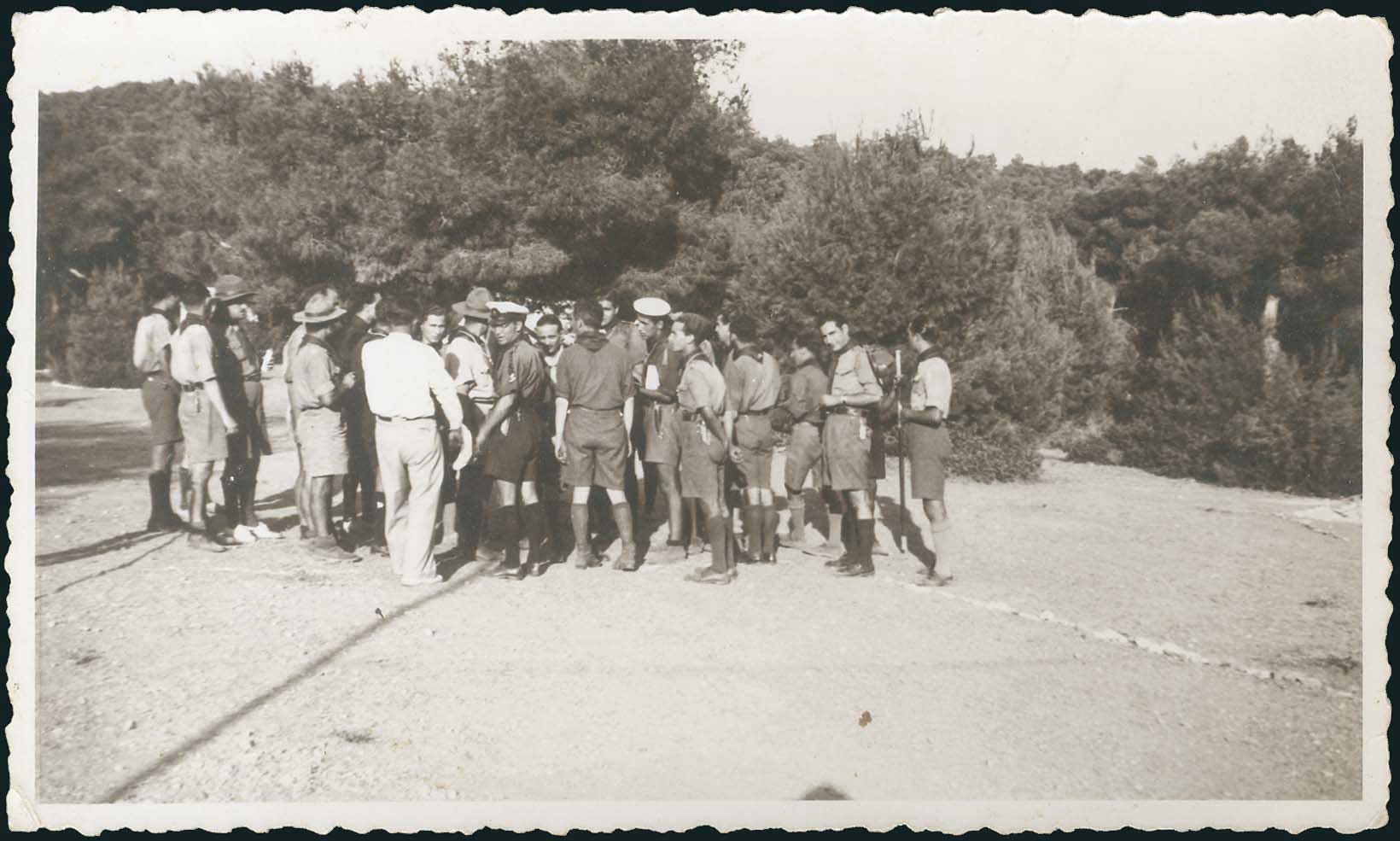 Lot 03526