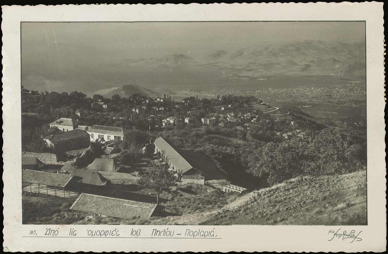 Lot 03560