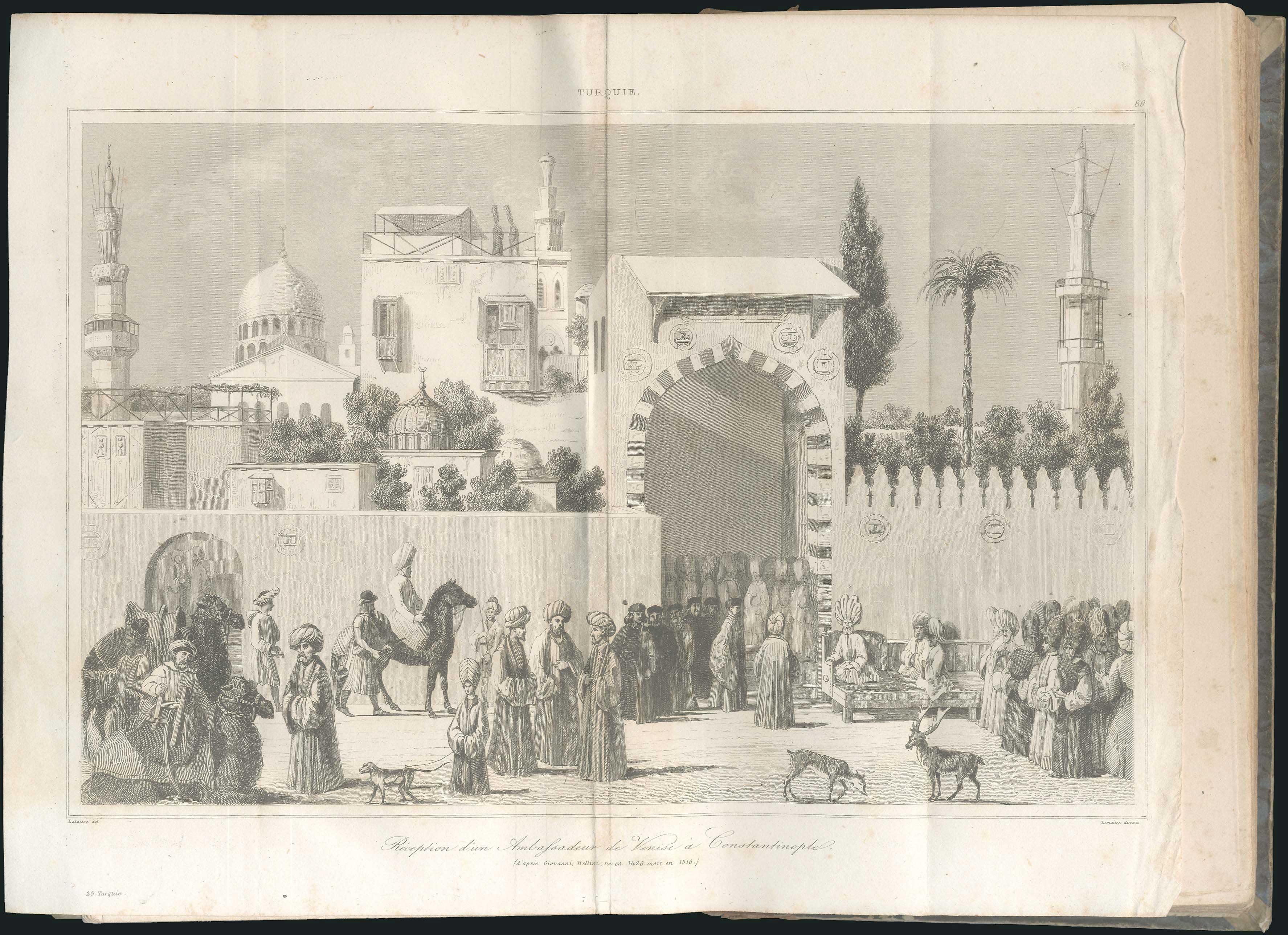 Lot 08378