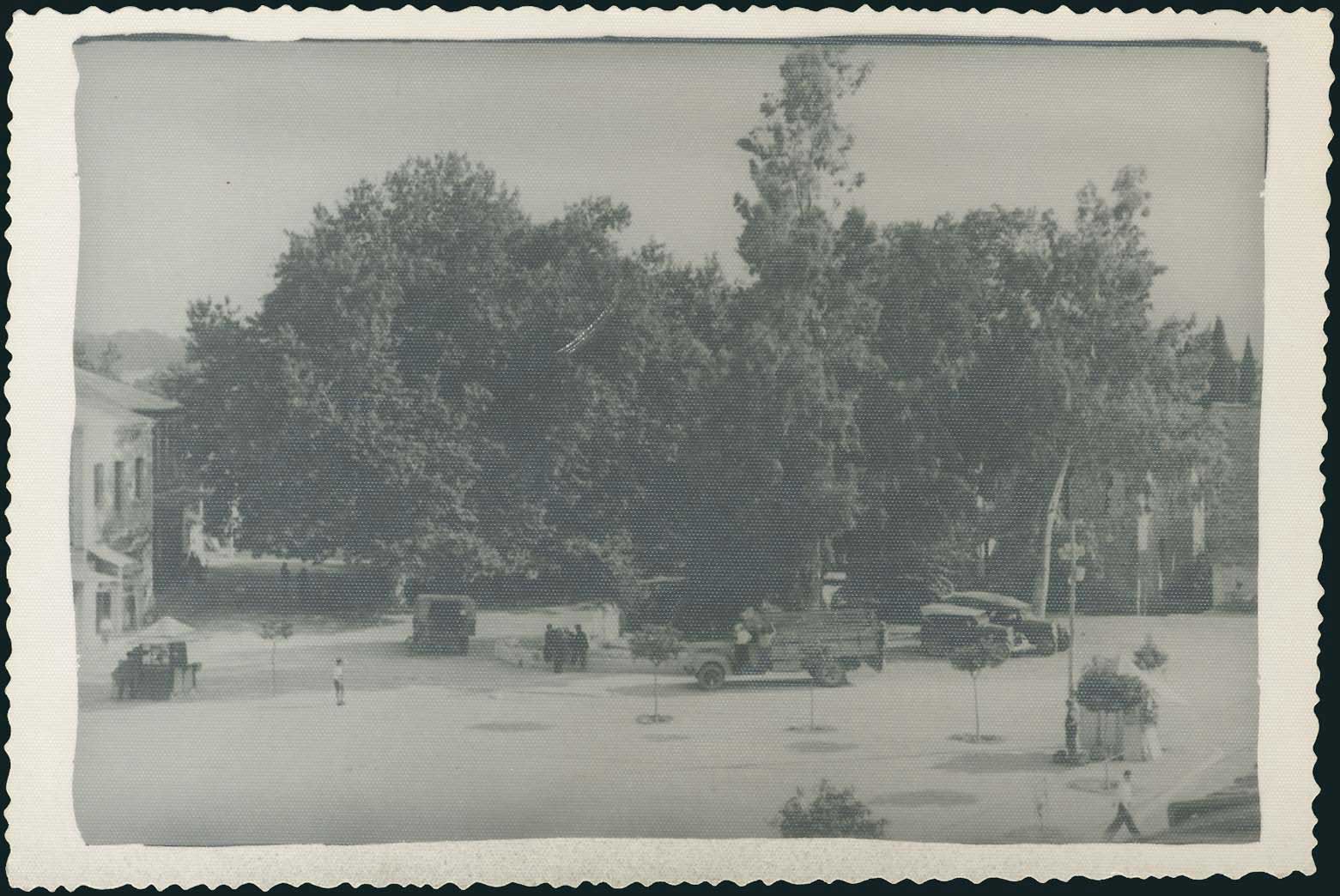 Lot 03545