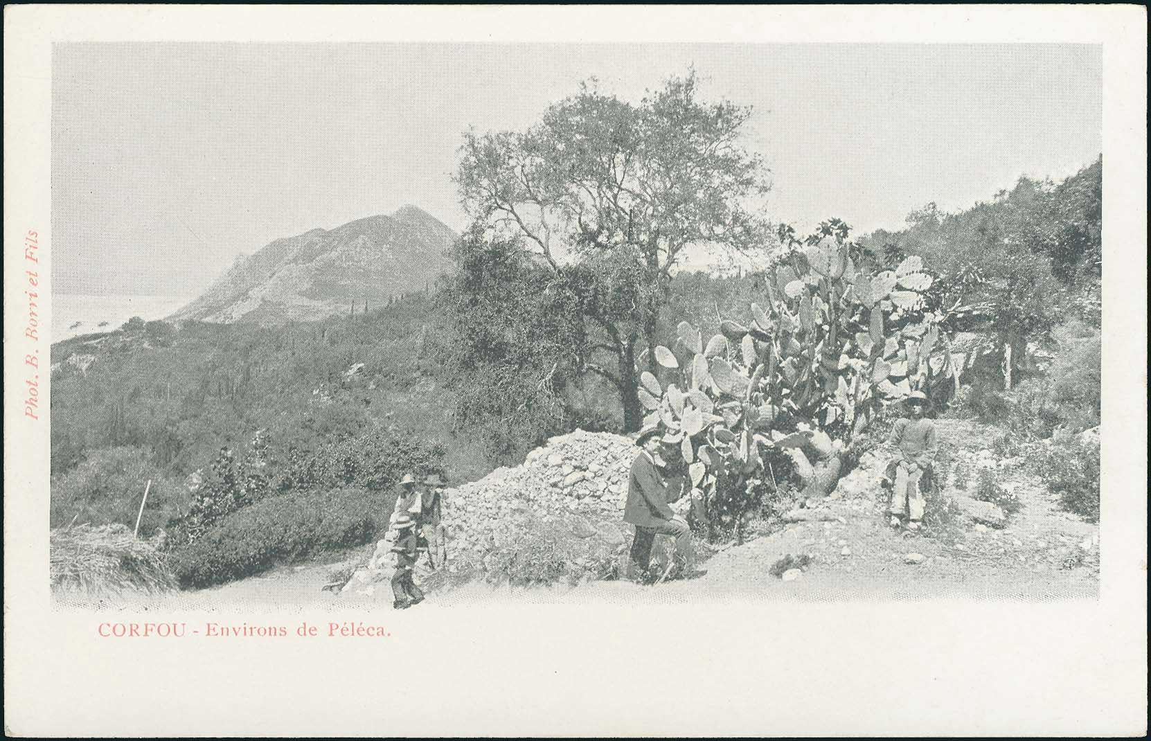 Lot 01652