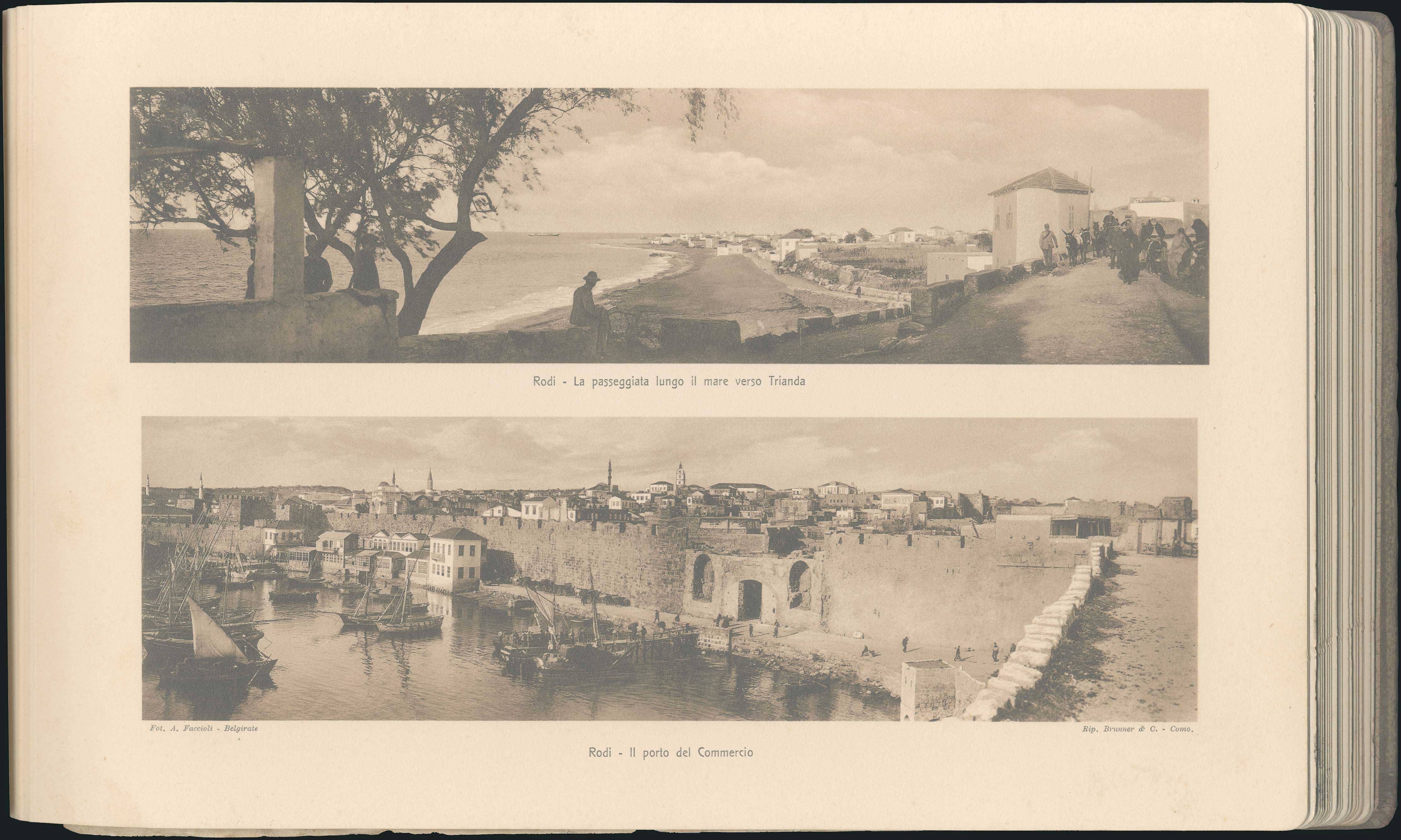 Lot 08392
