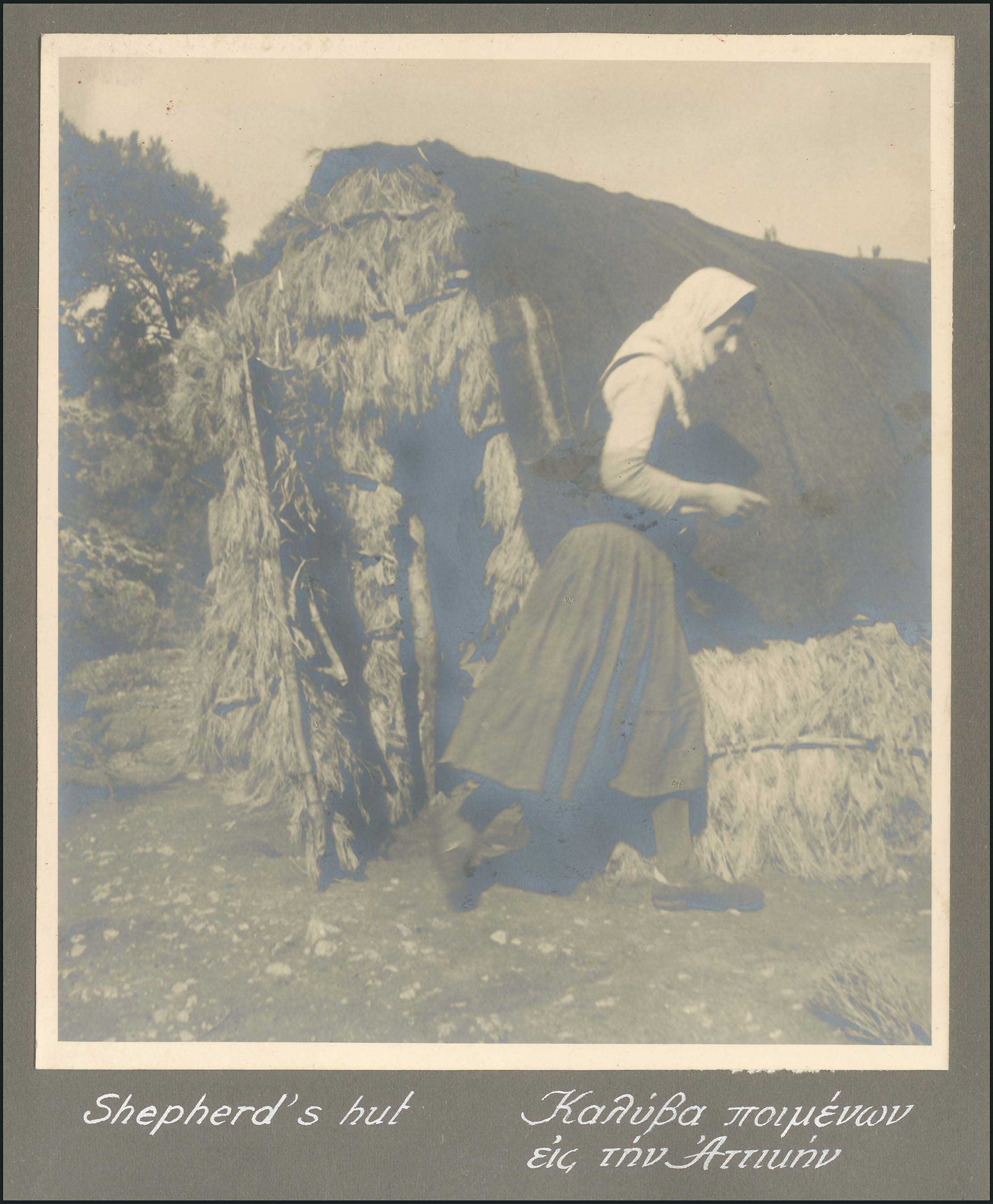 Lot 08172
