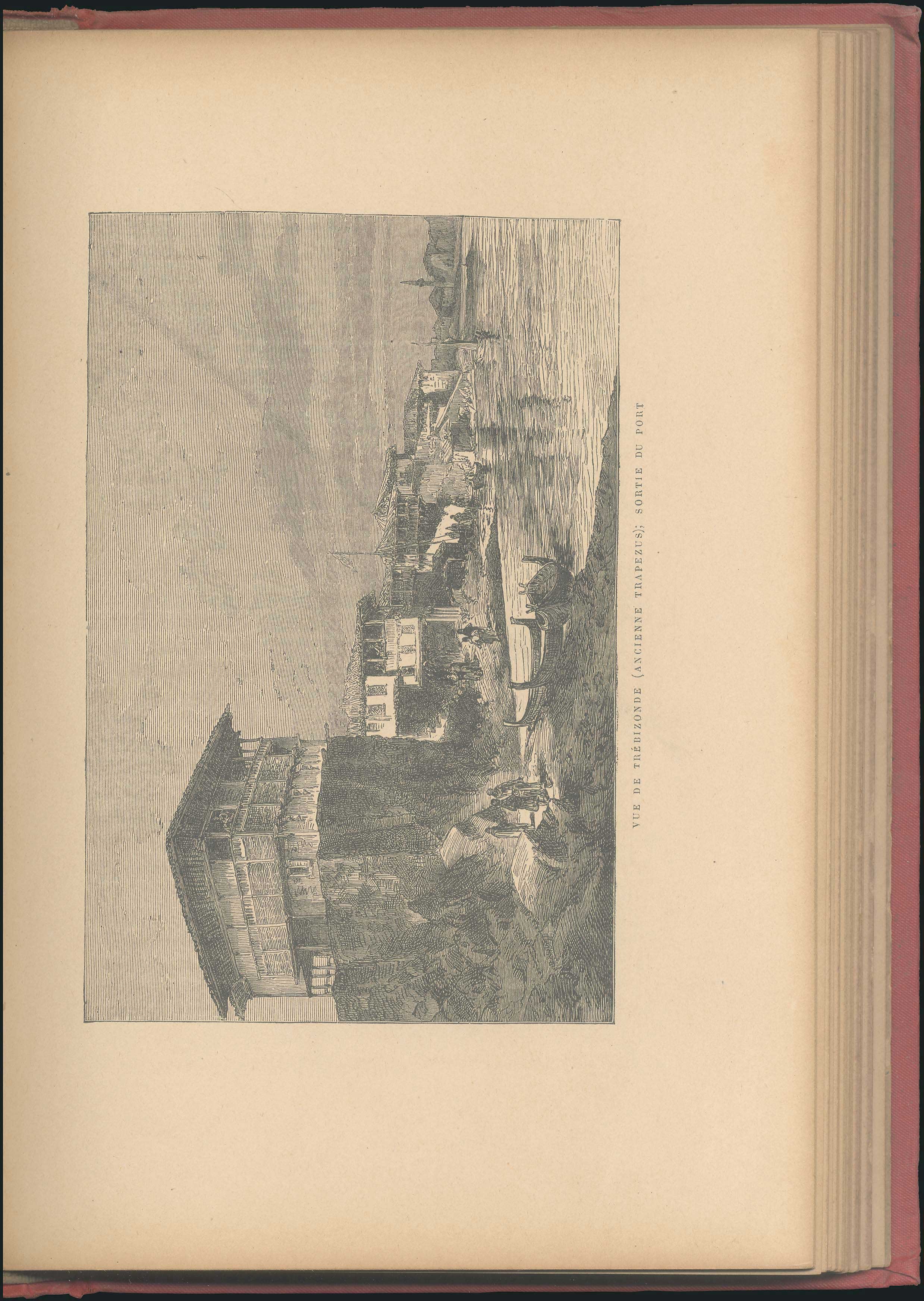 Lot 08393