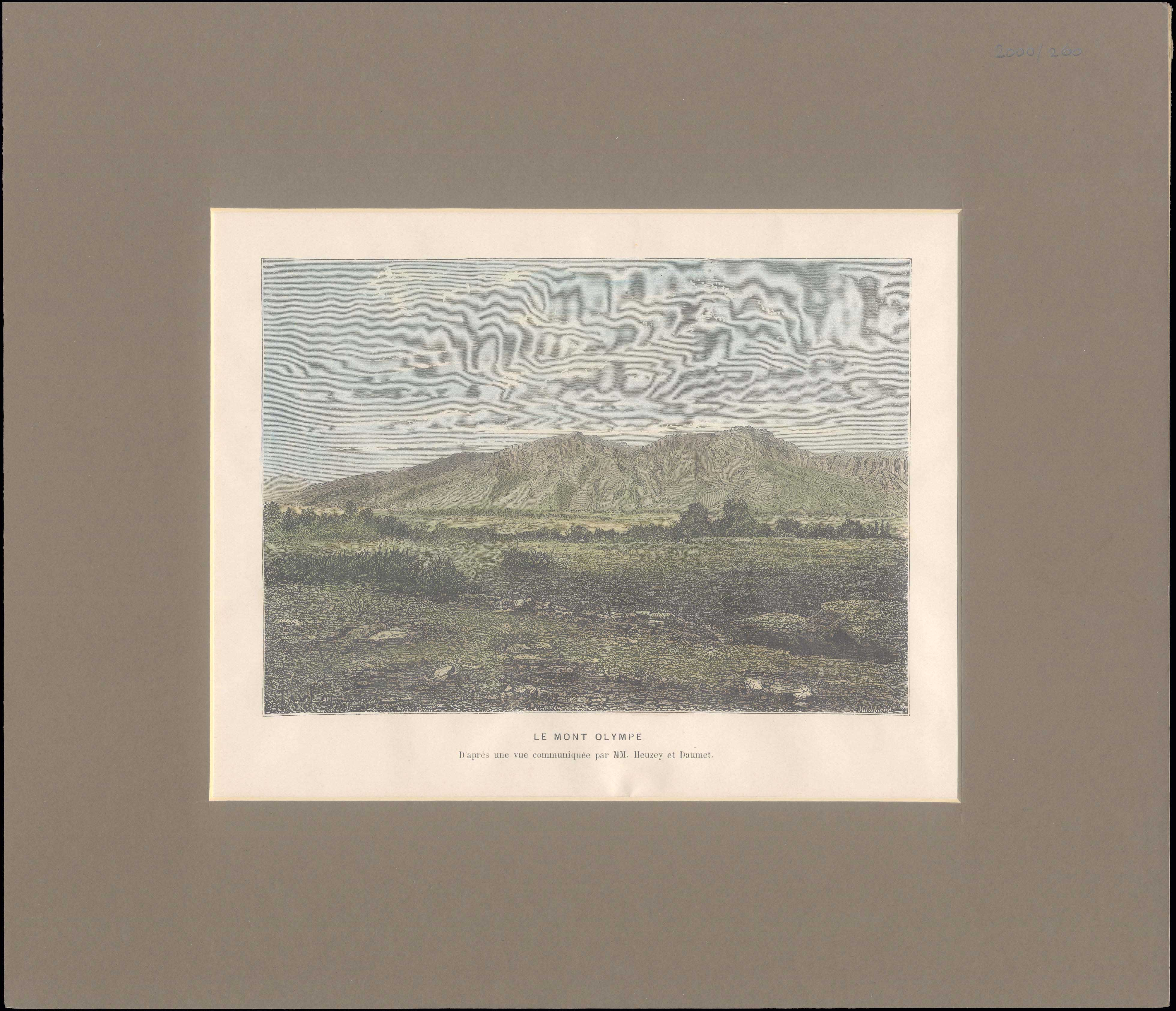 Lot 08116