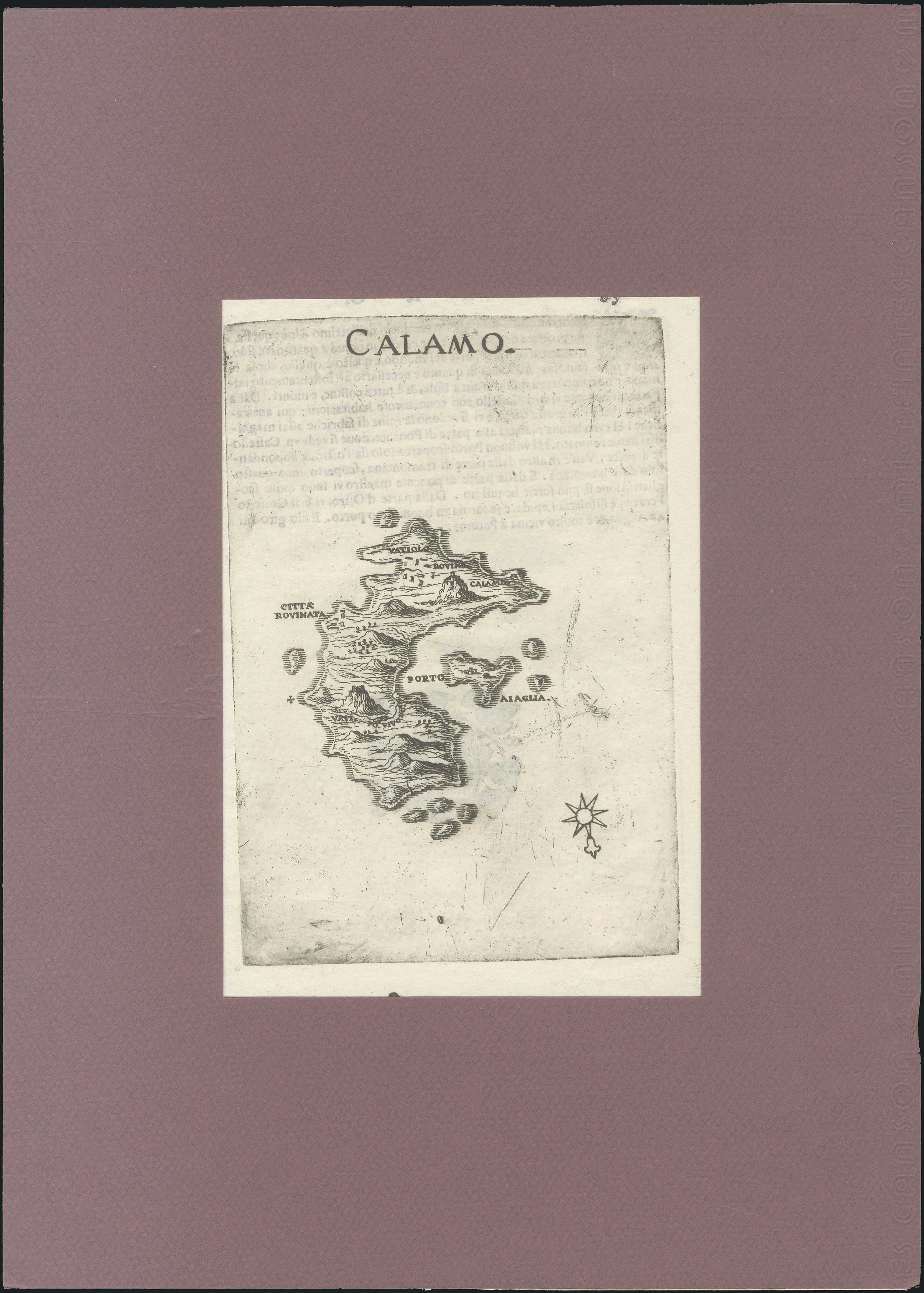 Lot 08021
