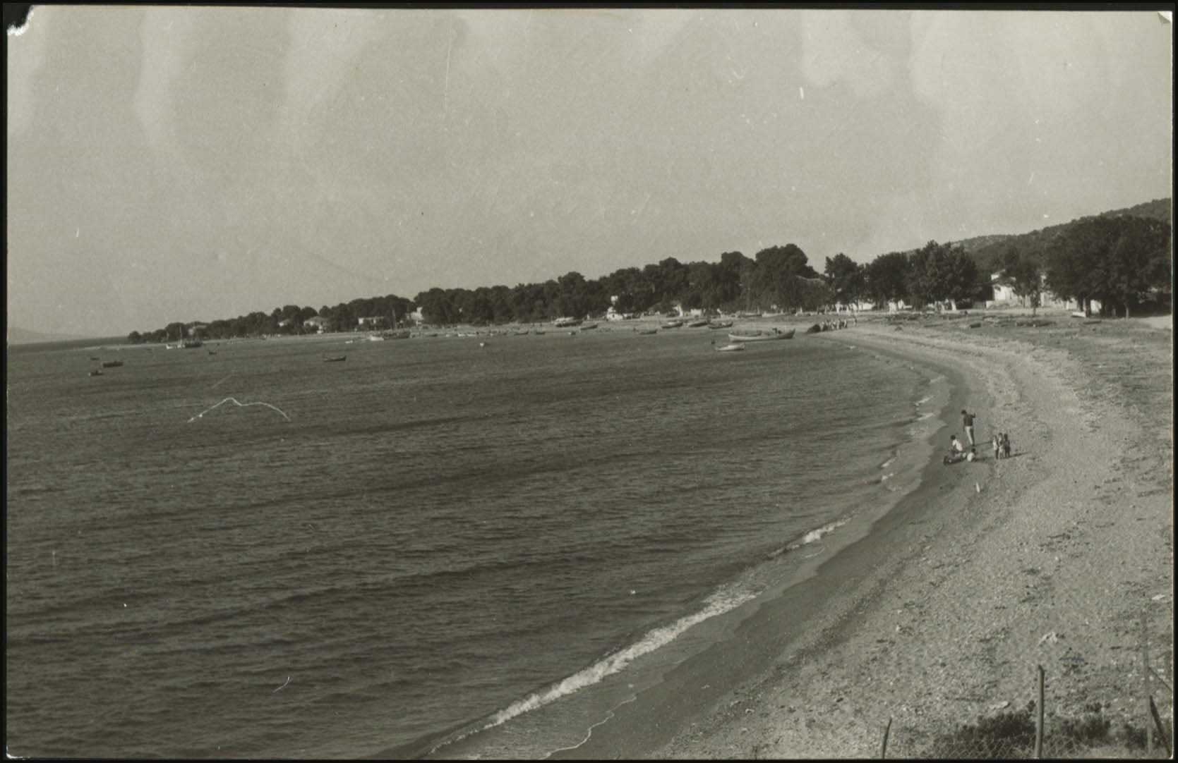 Lot 03909