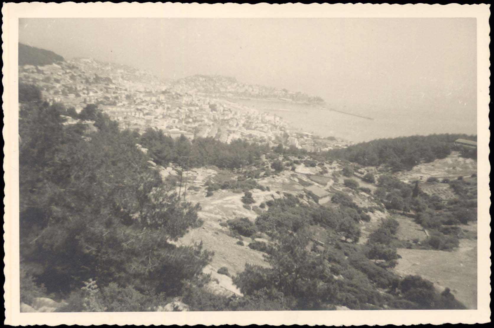 Lot 03991