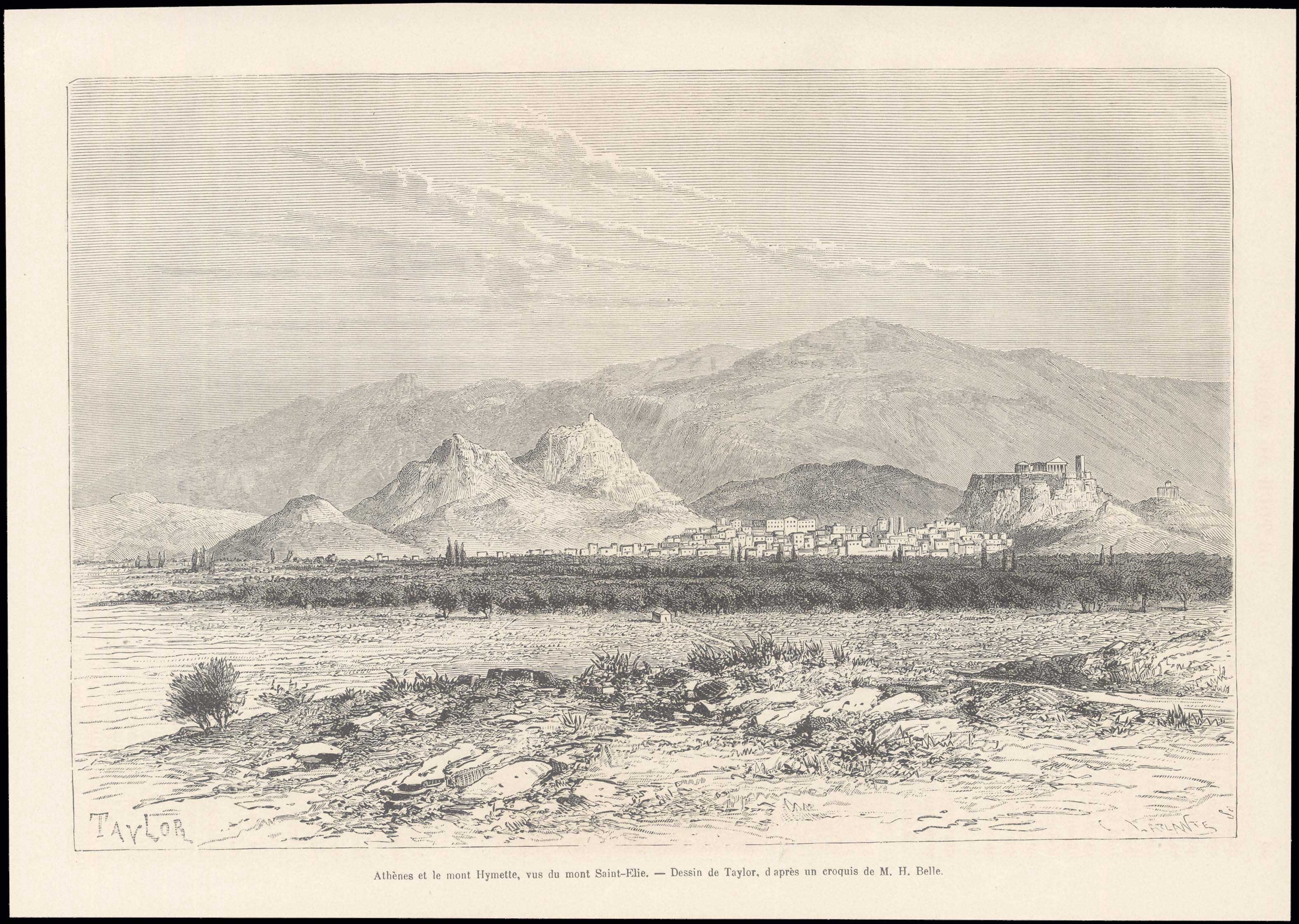 Lot 08149